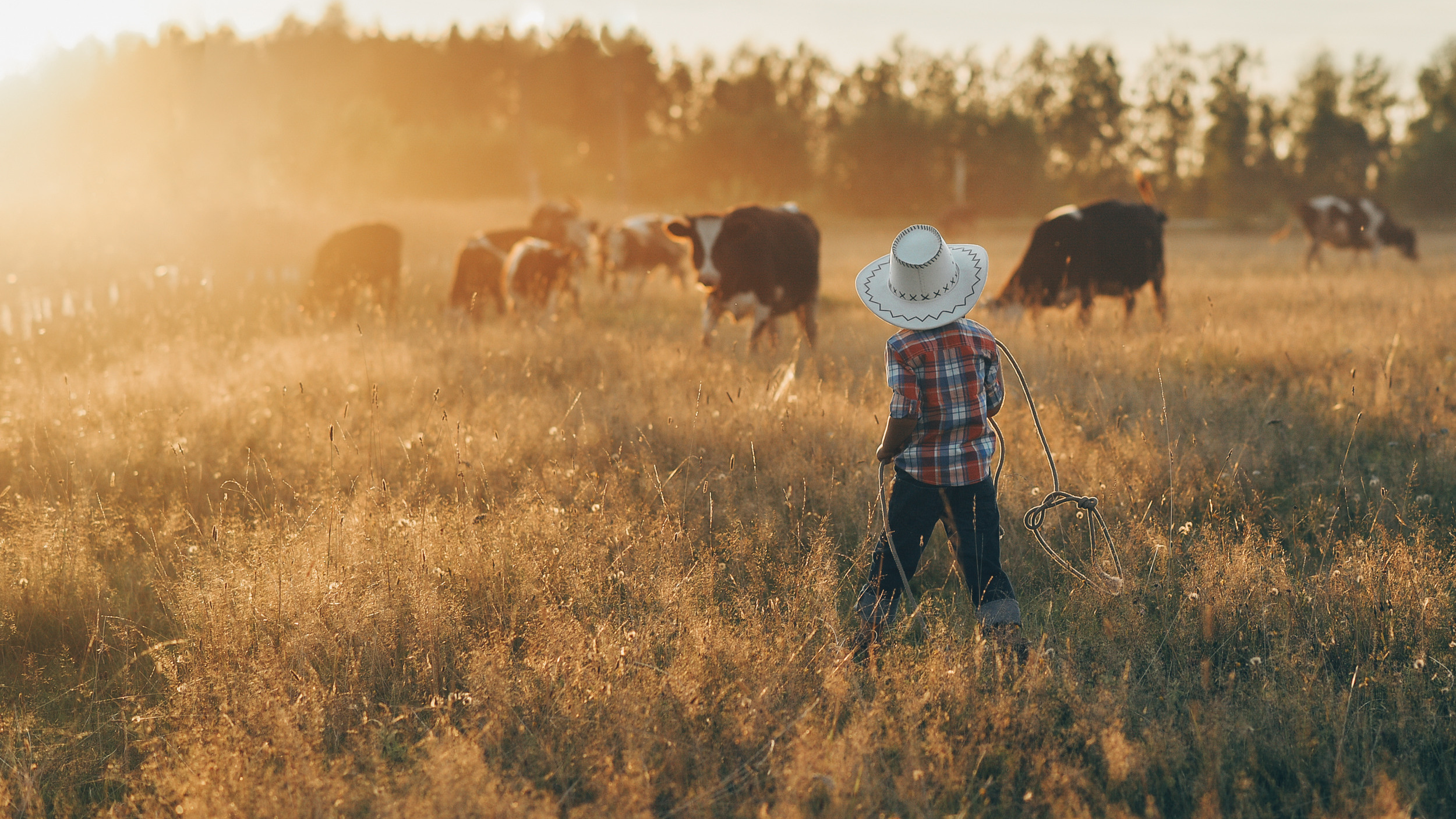 Детский и семейный фотограф