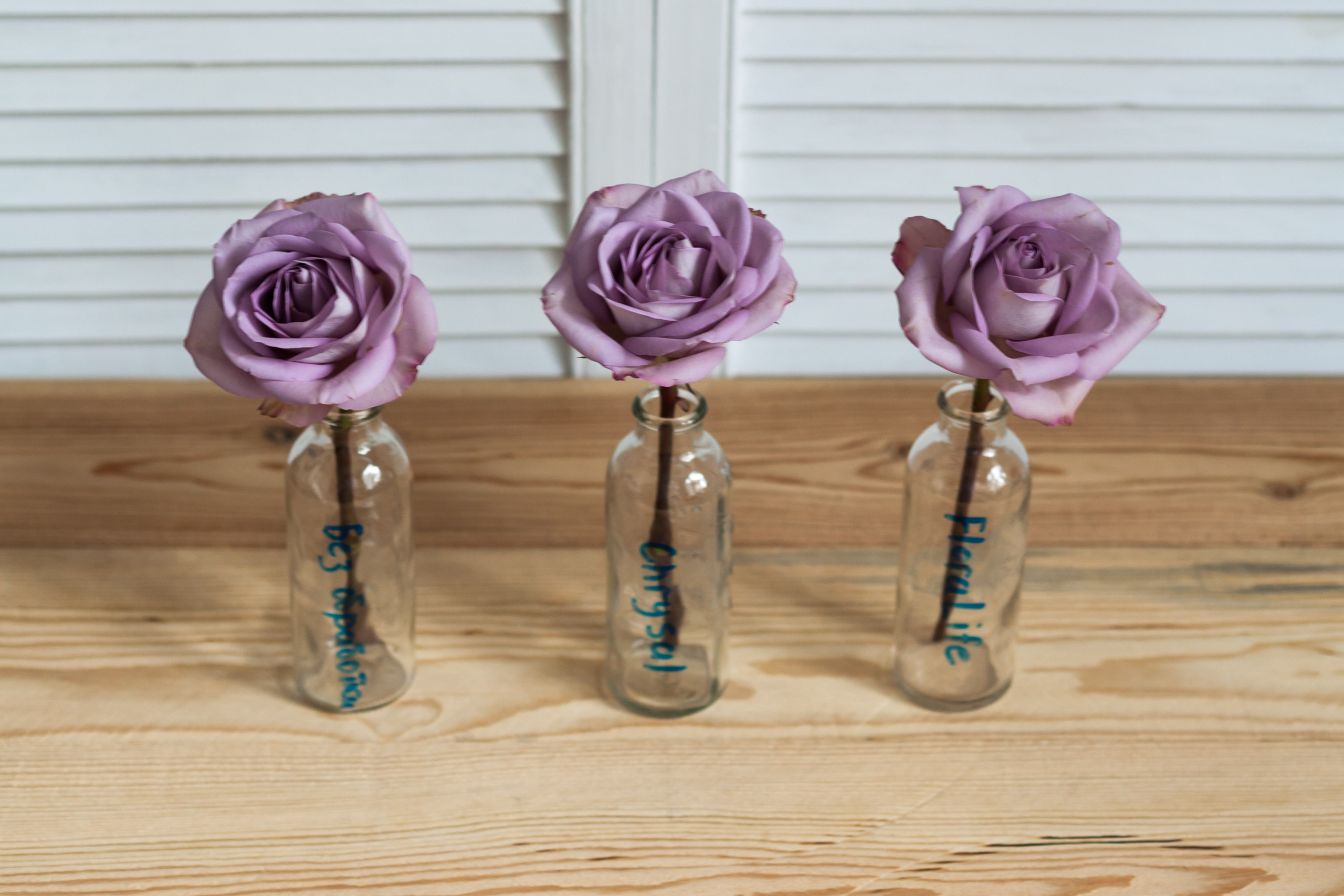 Тестируем средства для финишной обработки цветов. Флорист Маргарита Гладкова