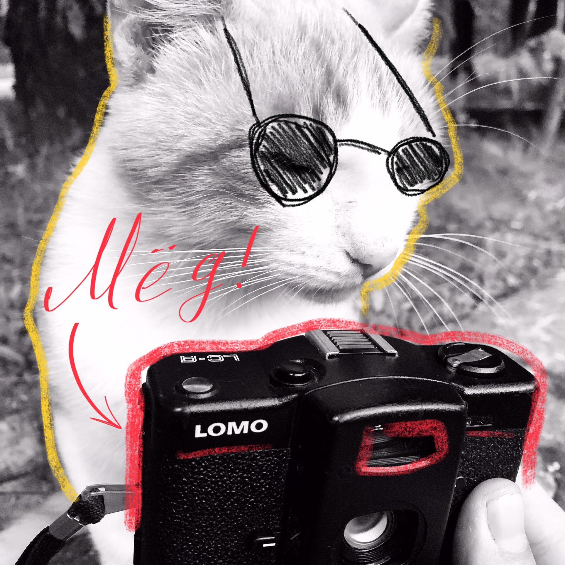 Заказать свадебные фотографии на плёнку - съёмка свадьбы на плёнку. Плёночный фотограф, заказать фото на плёнку в Москве — Георгий Романов