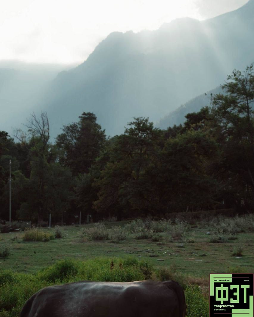 ФЭТ: Фотография Эстетика Творчество. 26.10.2025. Наталья Жукова. Курсы фотографии