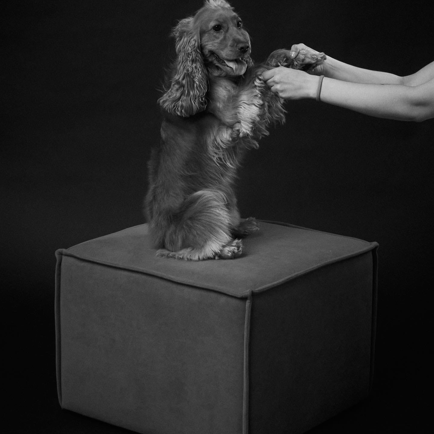 Правила посещения студии автопортрета DOUBLE-YOU в Сургуте. Фотостудия автопортрета DOUBLE-YOU в Сургуте