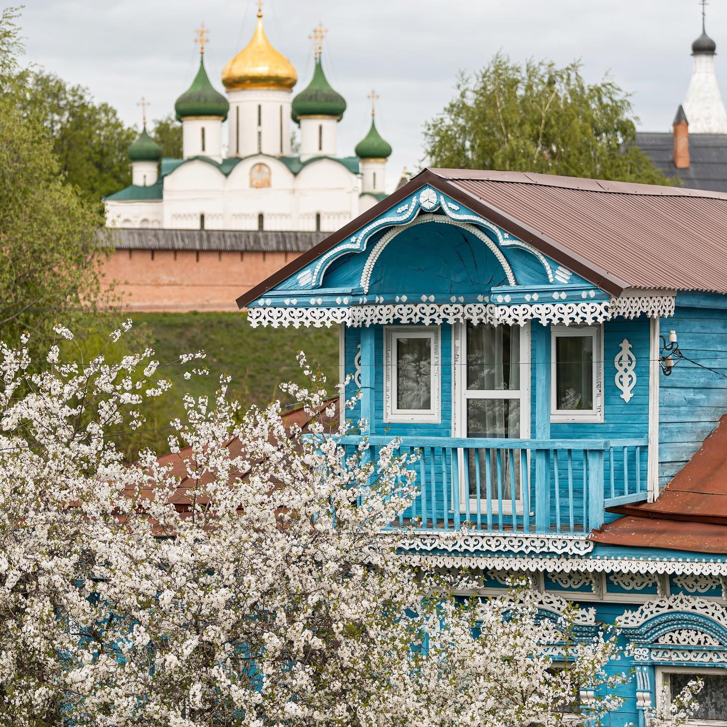 Путешествие в Суздаль. Фотограф и видеограф Елена Лисина