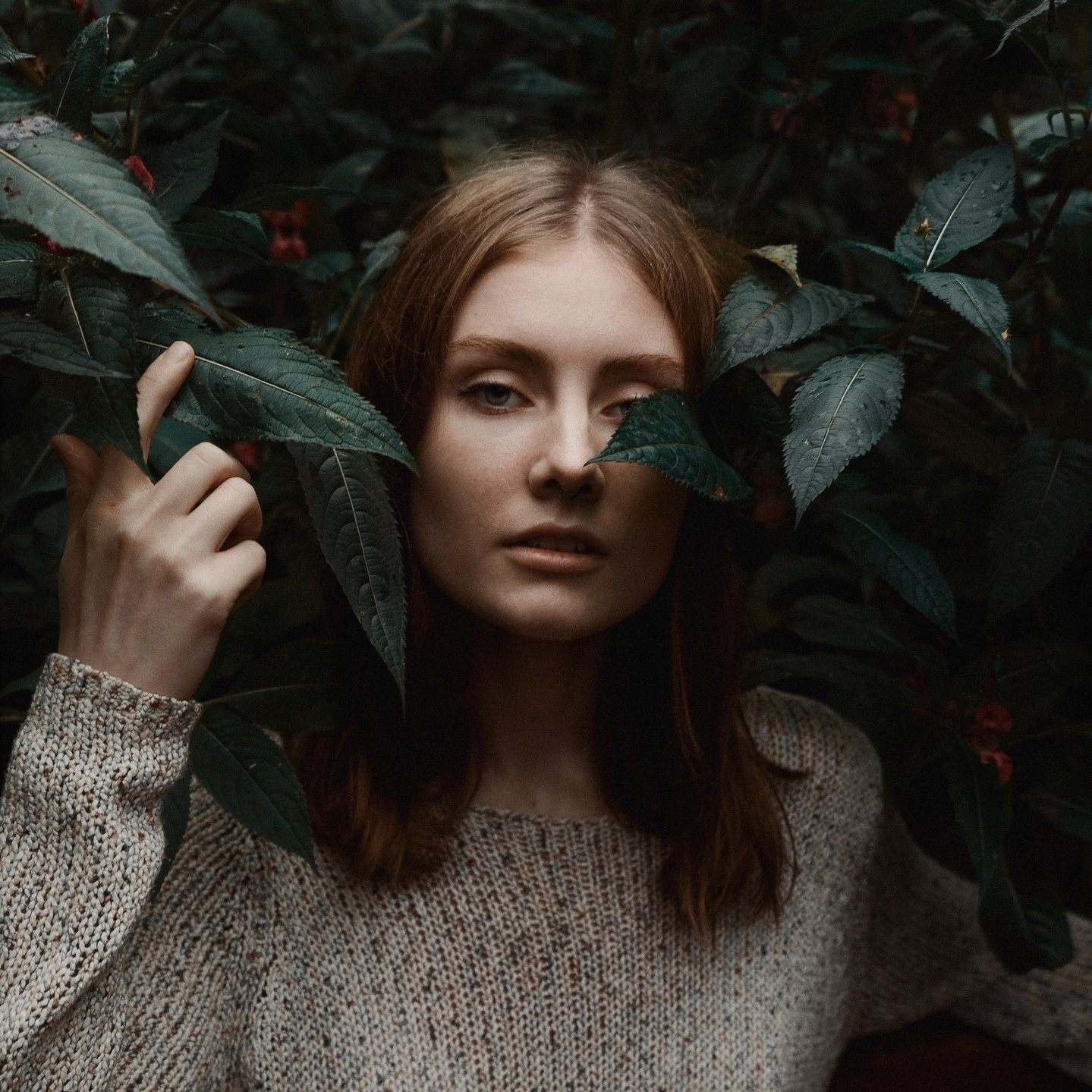 Услуги. Www.Roschin.ru