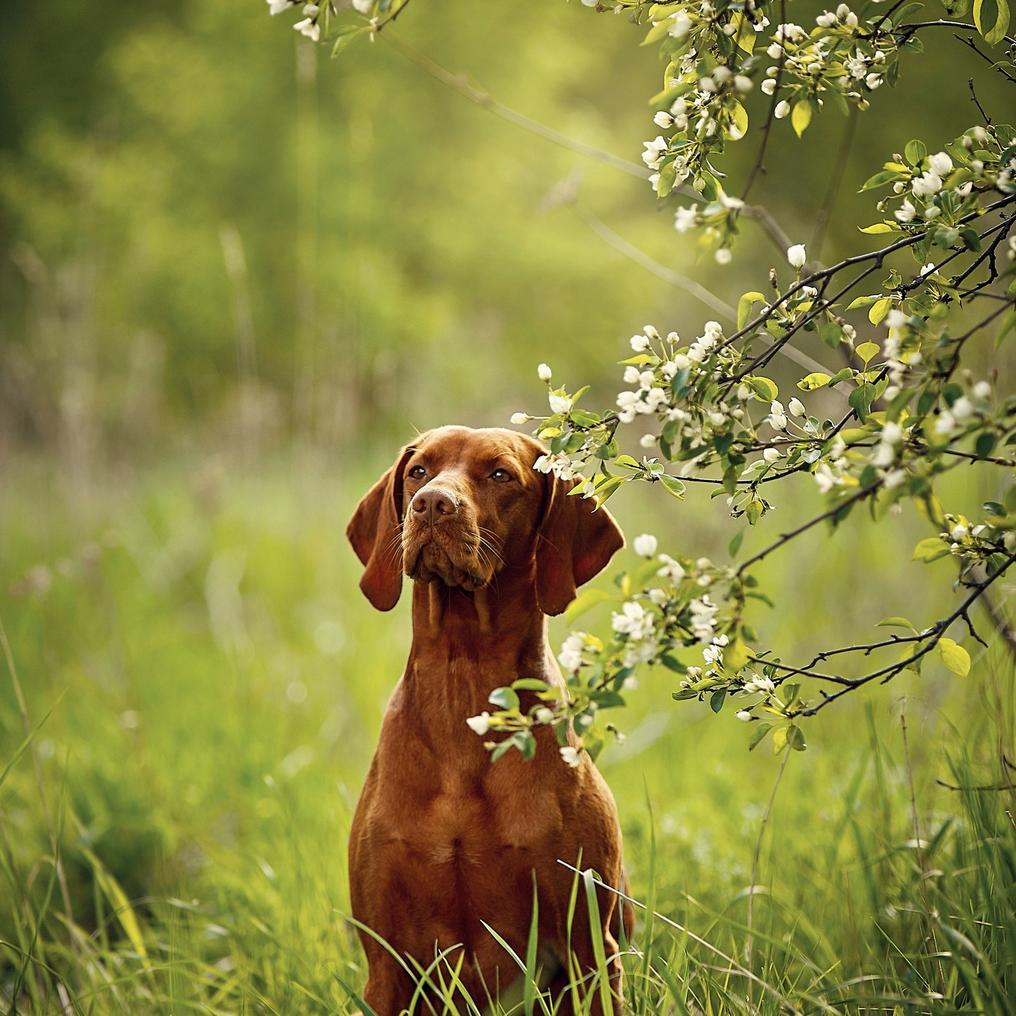 Цена детской и семейной фотосъемки в Нижнем Новгороде. Детский и семейный фотограф в Нижнем Новгороде Мячикова Наталья