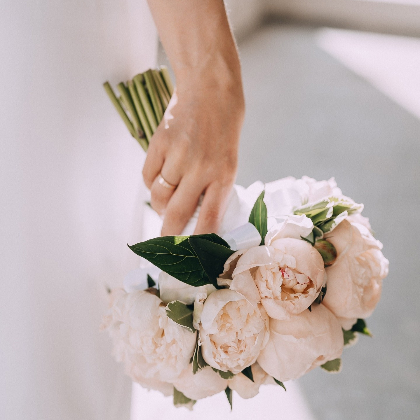 Услуги. Главная