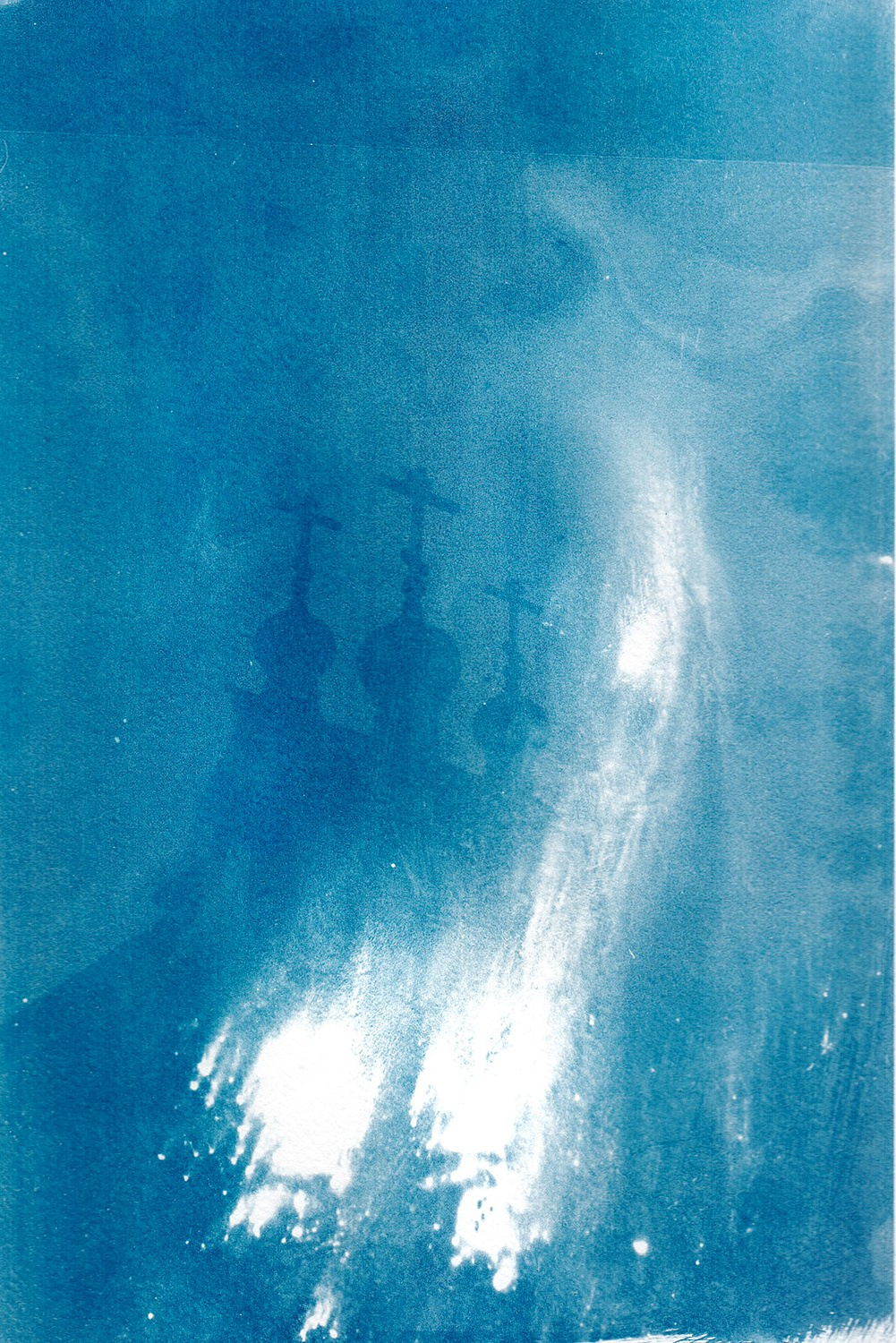 Сибирский путь. Julia Altukhova, multimedia artist