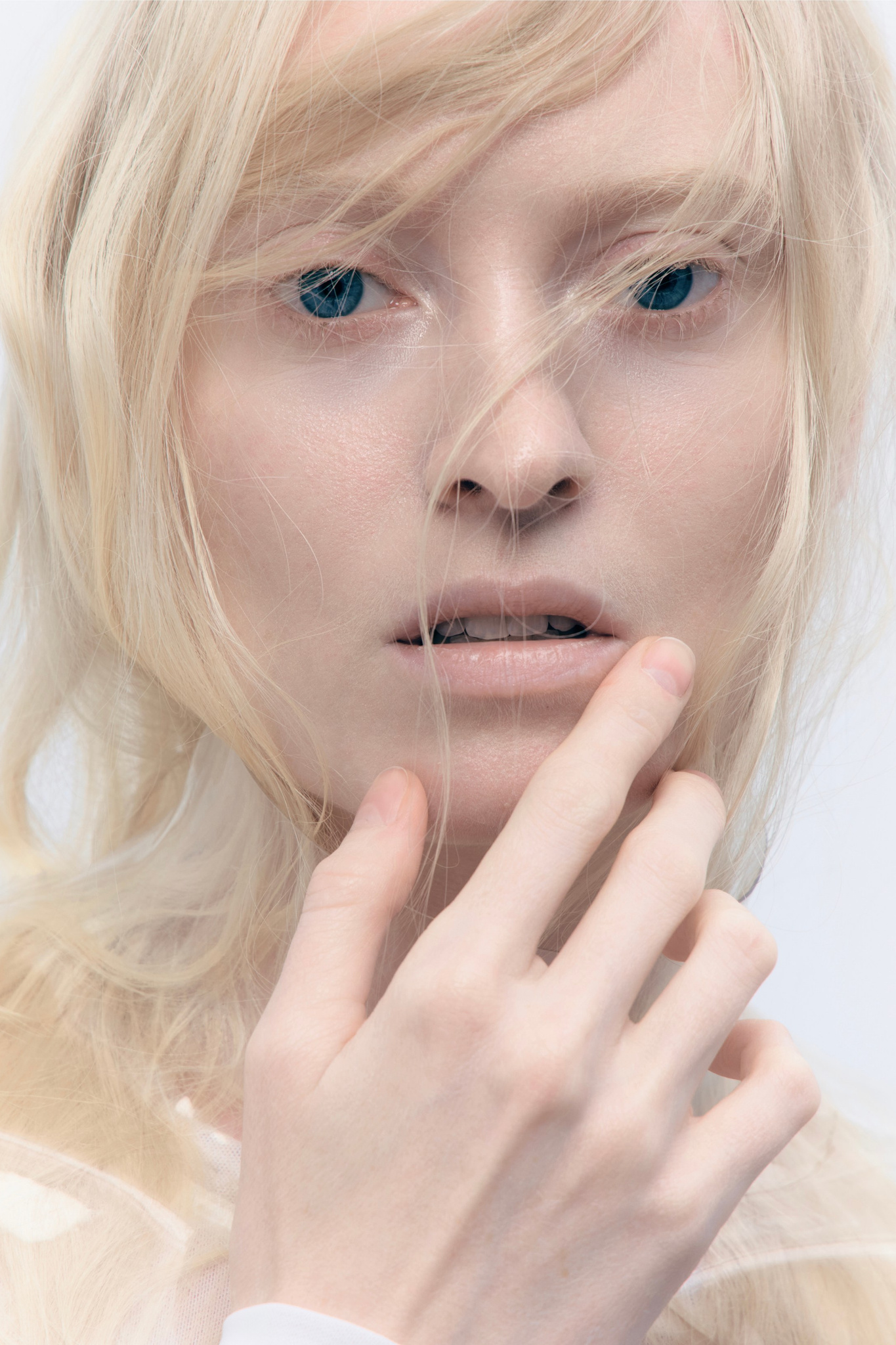 Volk agency Модельное агентство