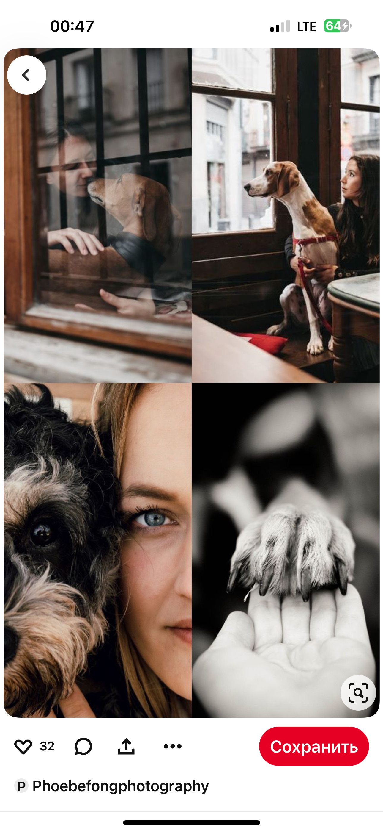 LA PULCHI СЪЕМКА С ЖИВОТНЫМИ КОНСУЛЬТАЦИЯ ПО ПОДГОТОВКЕ