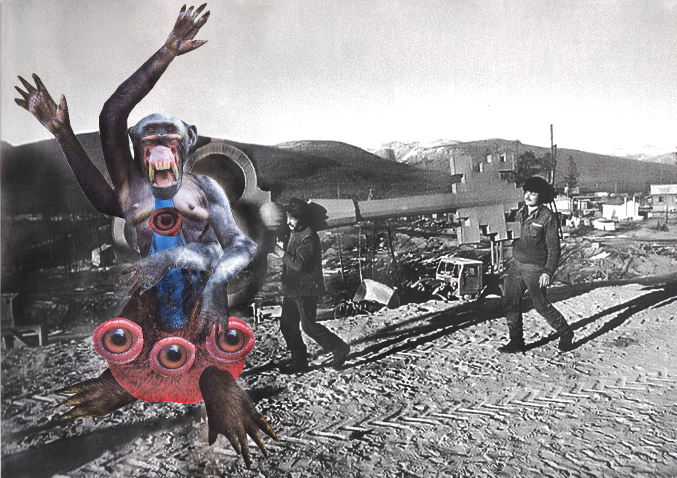 Коллаж. Наталья Чернобровкина — междисциплинарный художник