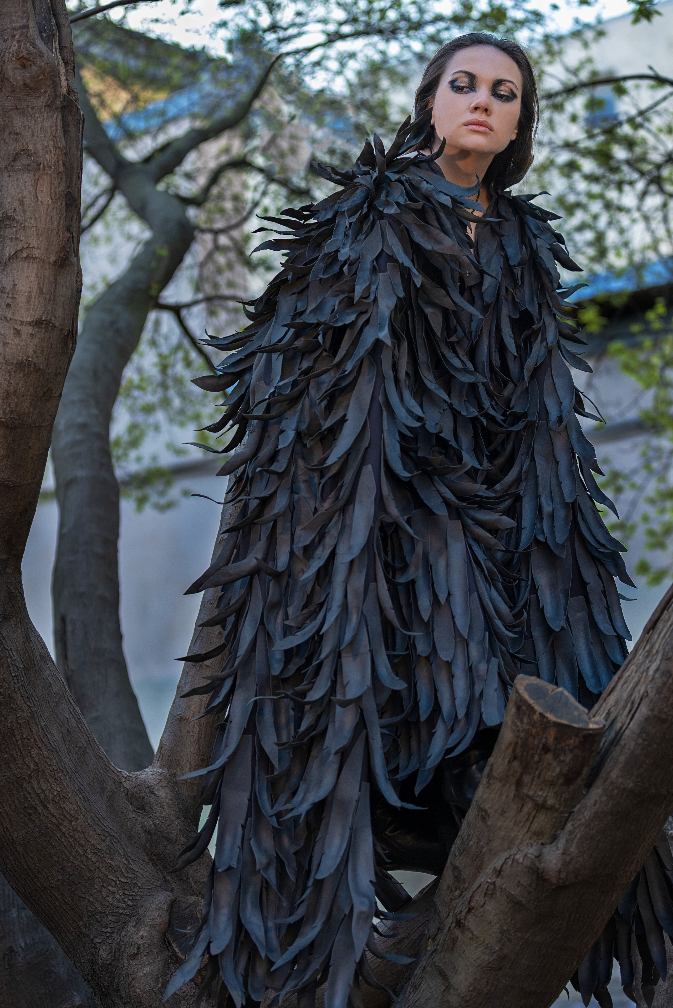 Sirin. Kalinin Dmitry Photography | Saint Petersburg