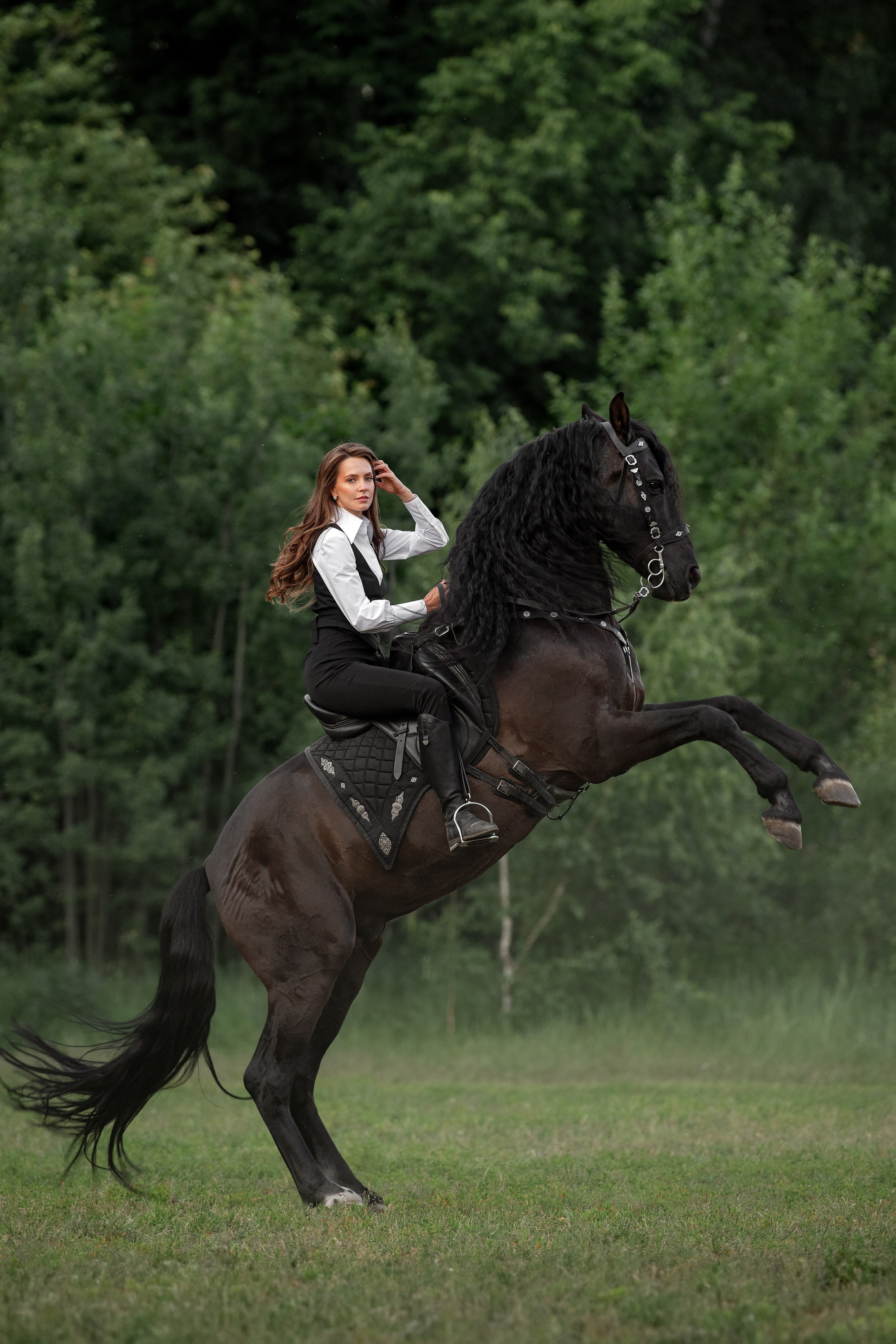 Каталог лошадей. Конный фотограф в Москве — Дарья Алексеева | Премиальные фотосессии с лошадьми