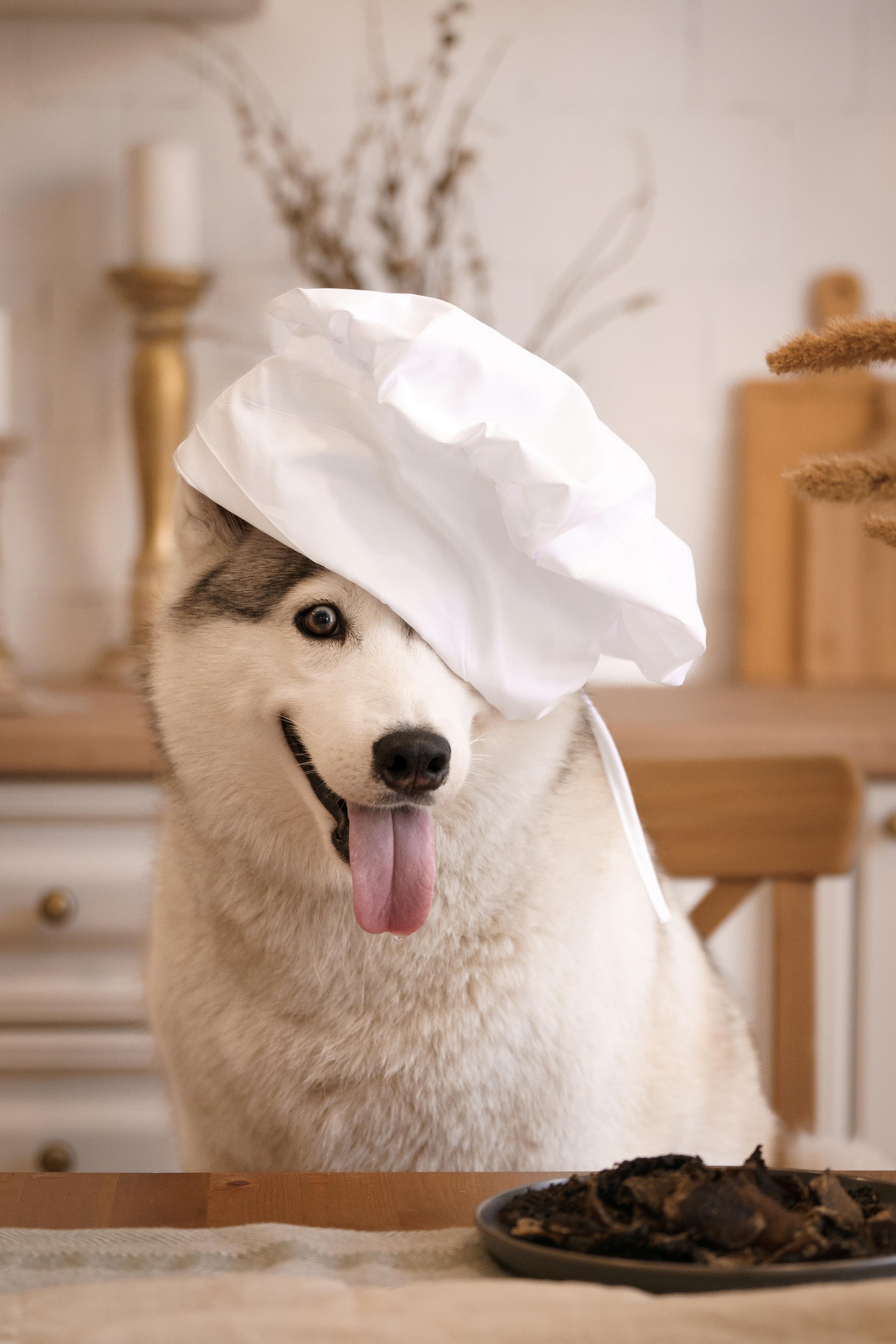 Фотограф-анималист в Санкт-Петербурге