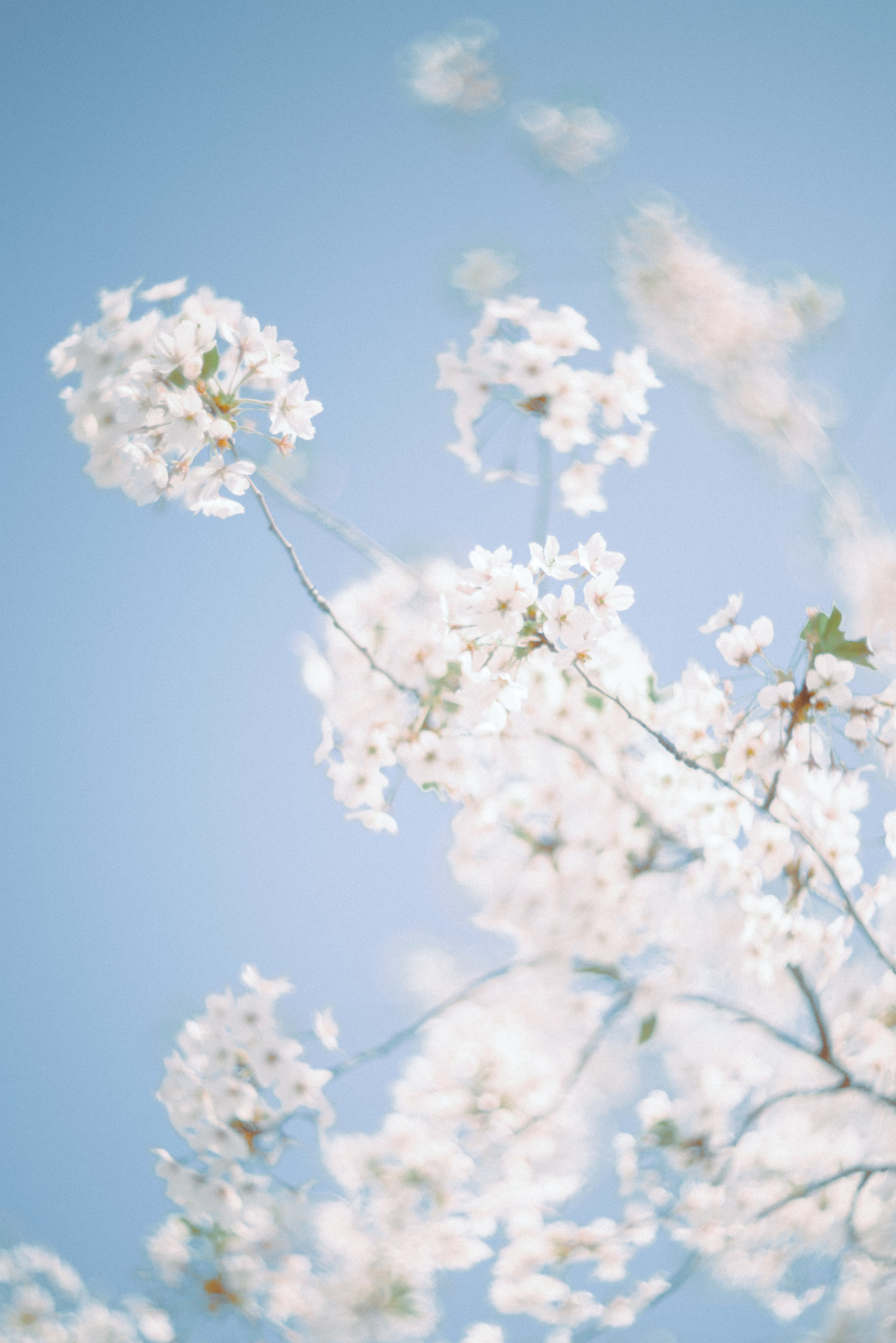 Артем Корнев Фотограф