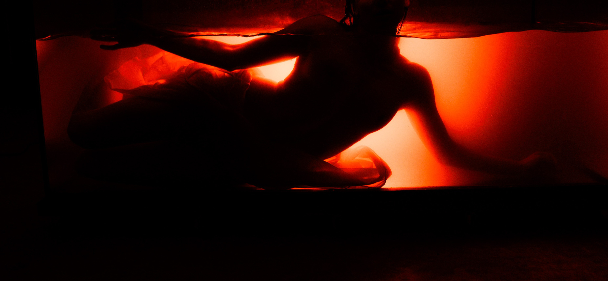 Аквариум. Фотограф из Москвы — DASHA NOVA | Авторская фотография в разных жанрах