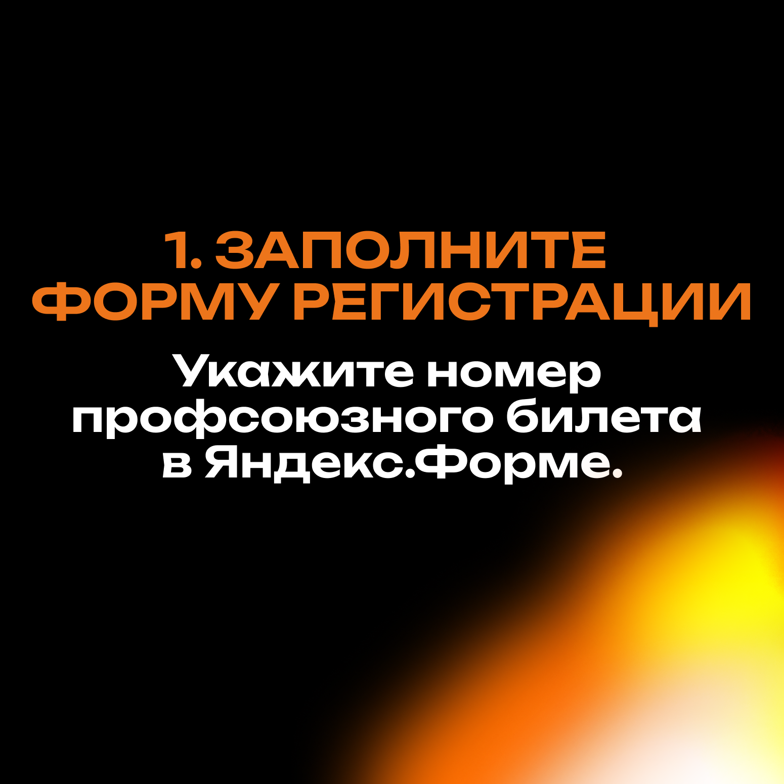 Begomvprofcom.wfolio.pro