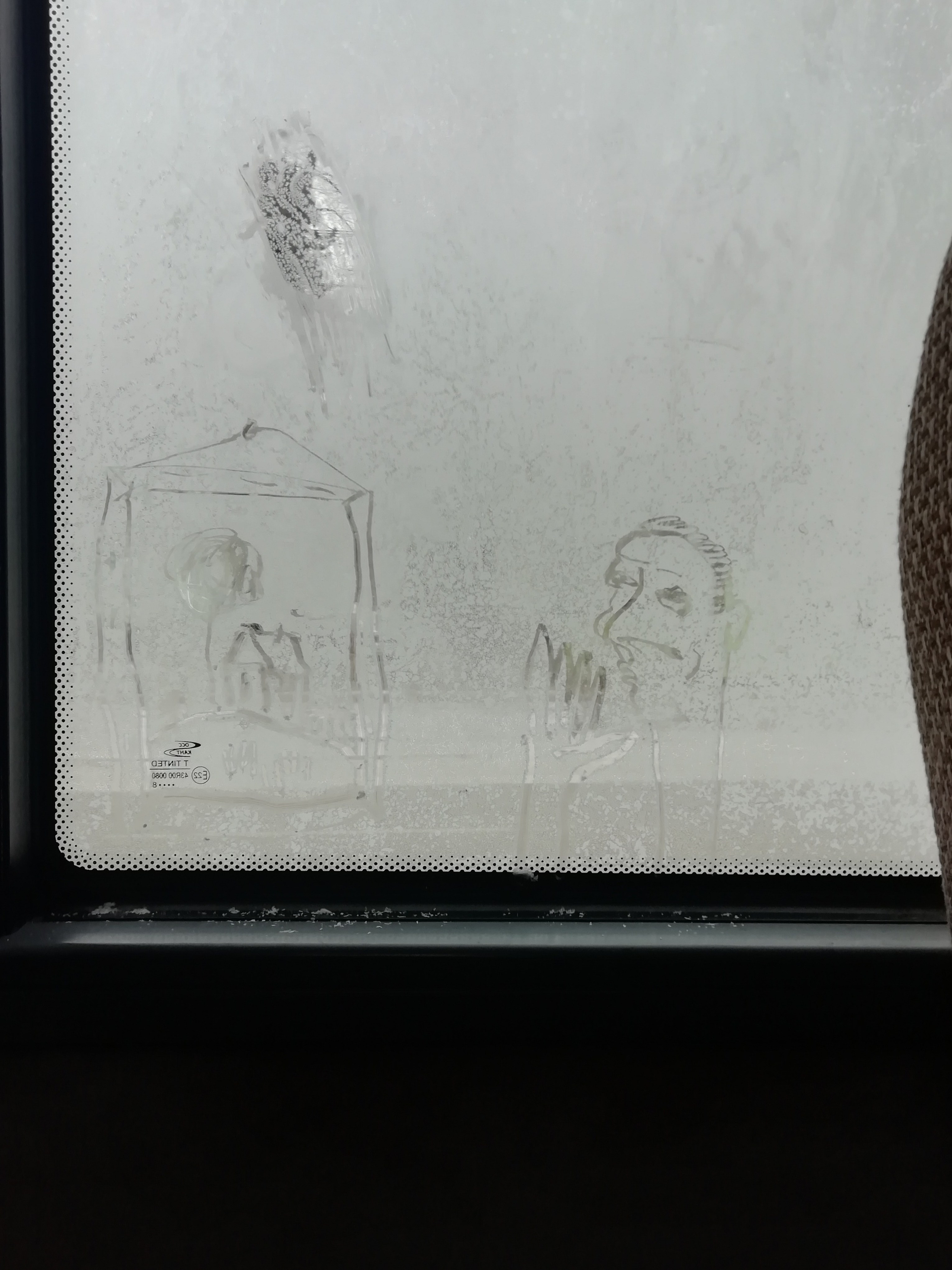 Рисункинаокнахавтобуса. Художник Рыбак Николай