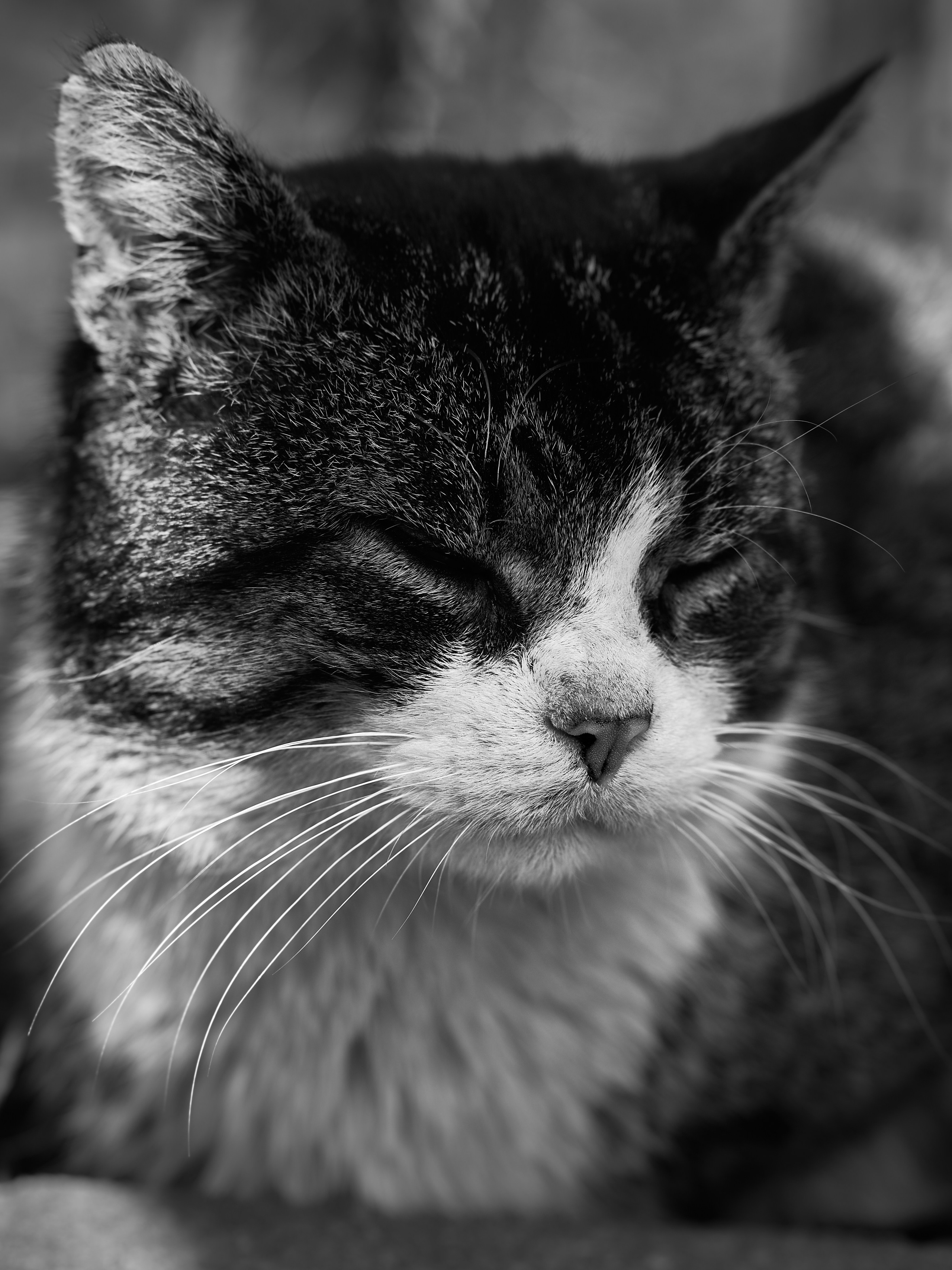 Центр города. Фотограф в Москве Анастасия Баева