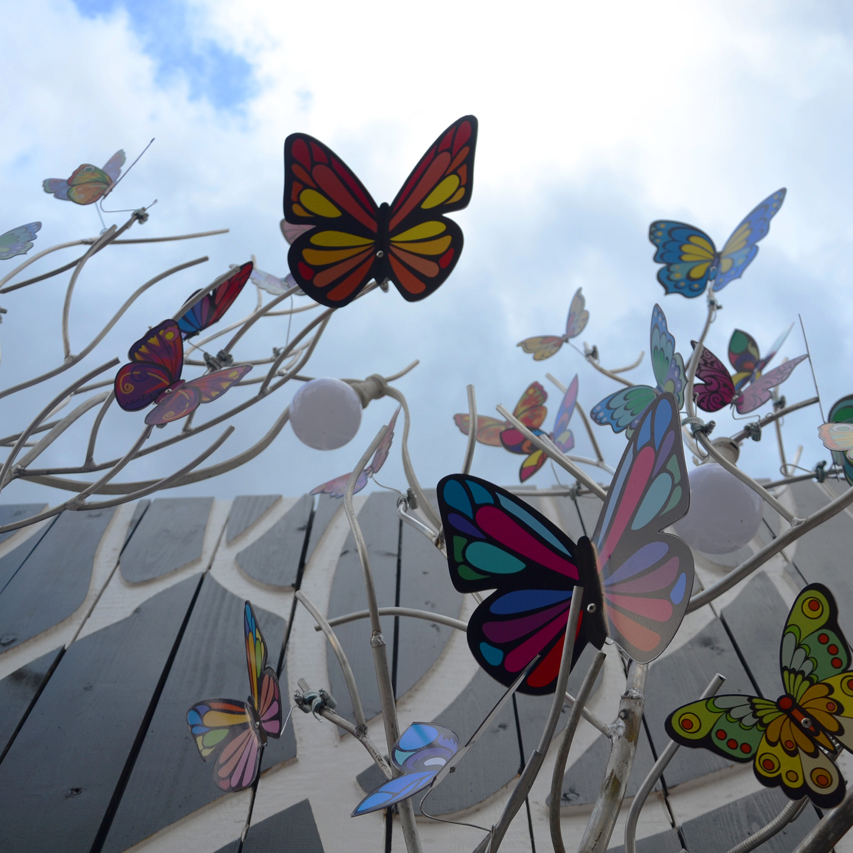 Contacts. Https://elenagovorenkova, documentary, reportage and art photography