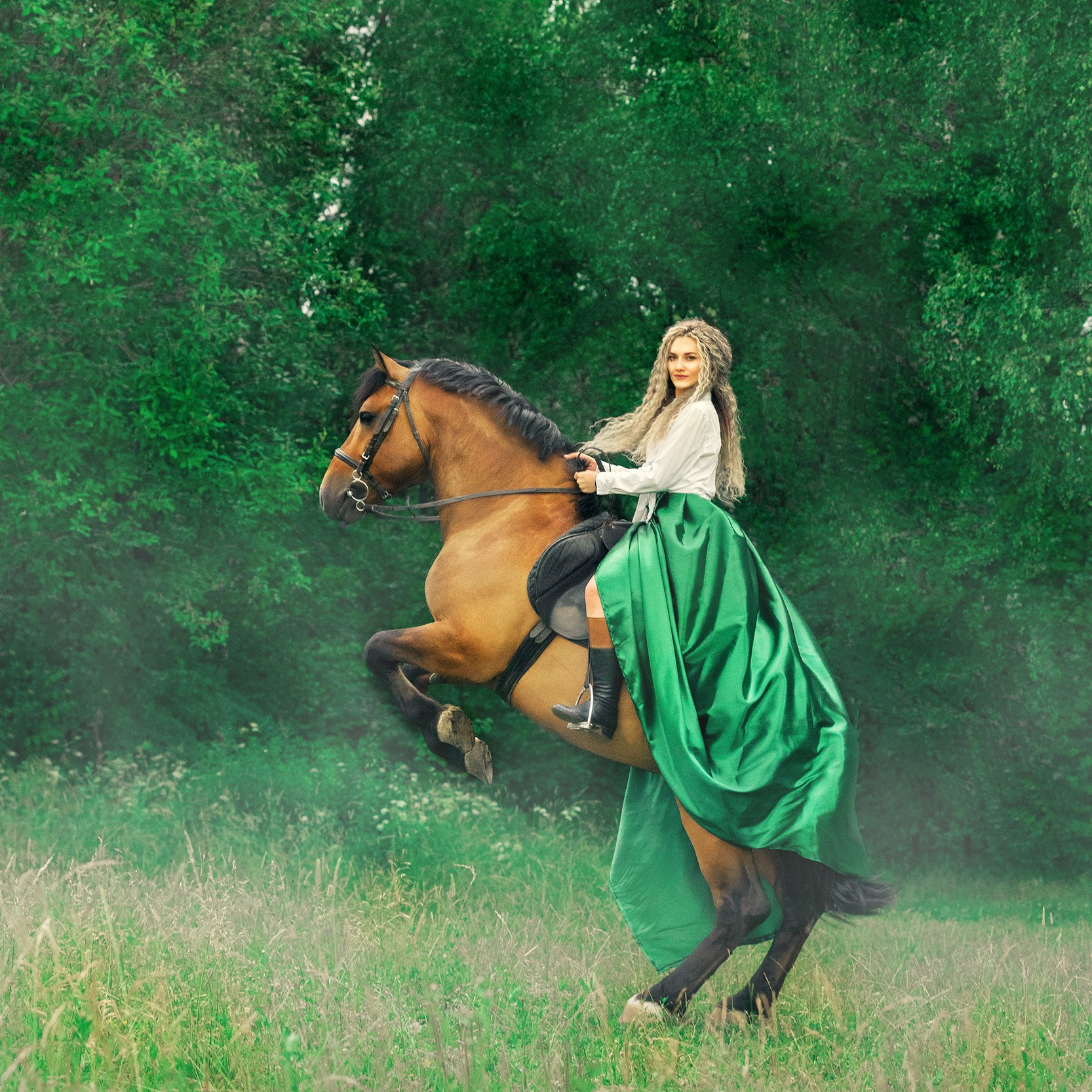 фотосессия с трюковыми лошадьми