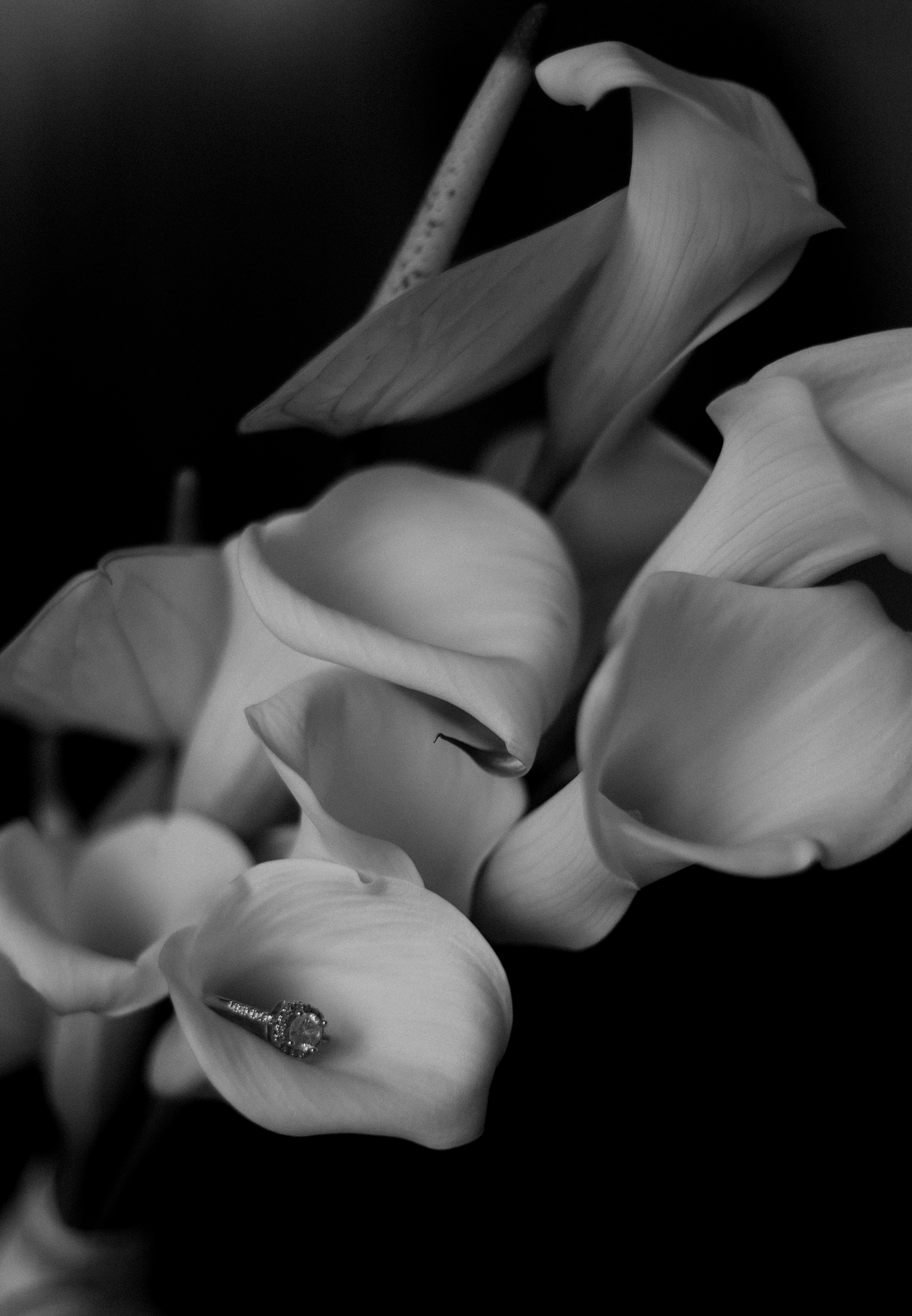 Прайс 2025-26. Свадебный фотограф в Барнауле и Новосибирске Лия Варкентин