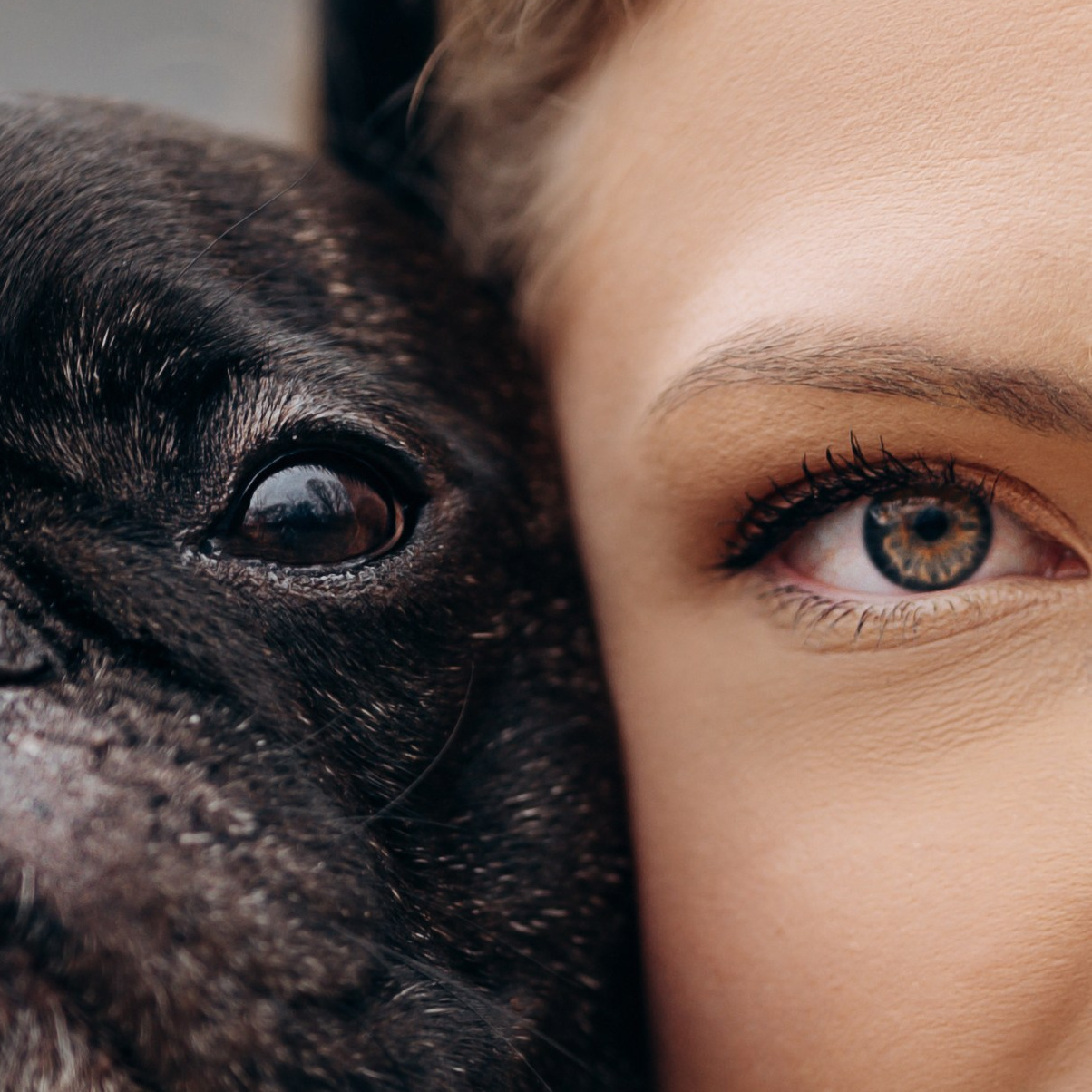 Старт с 0. Фотограф — Анималист | Санкт-Петербург