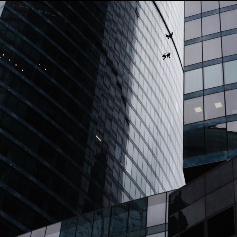 ПРОЕКТЫ. Ирина Ленькова художница