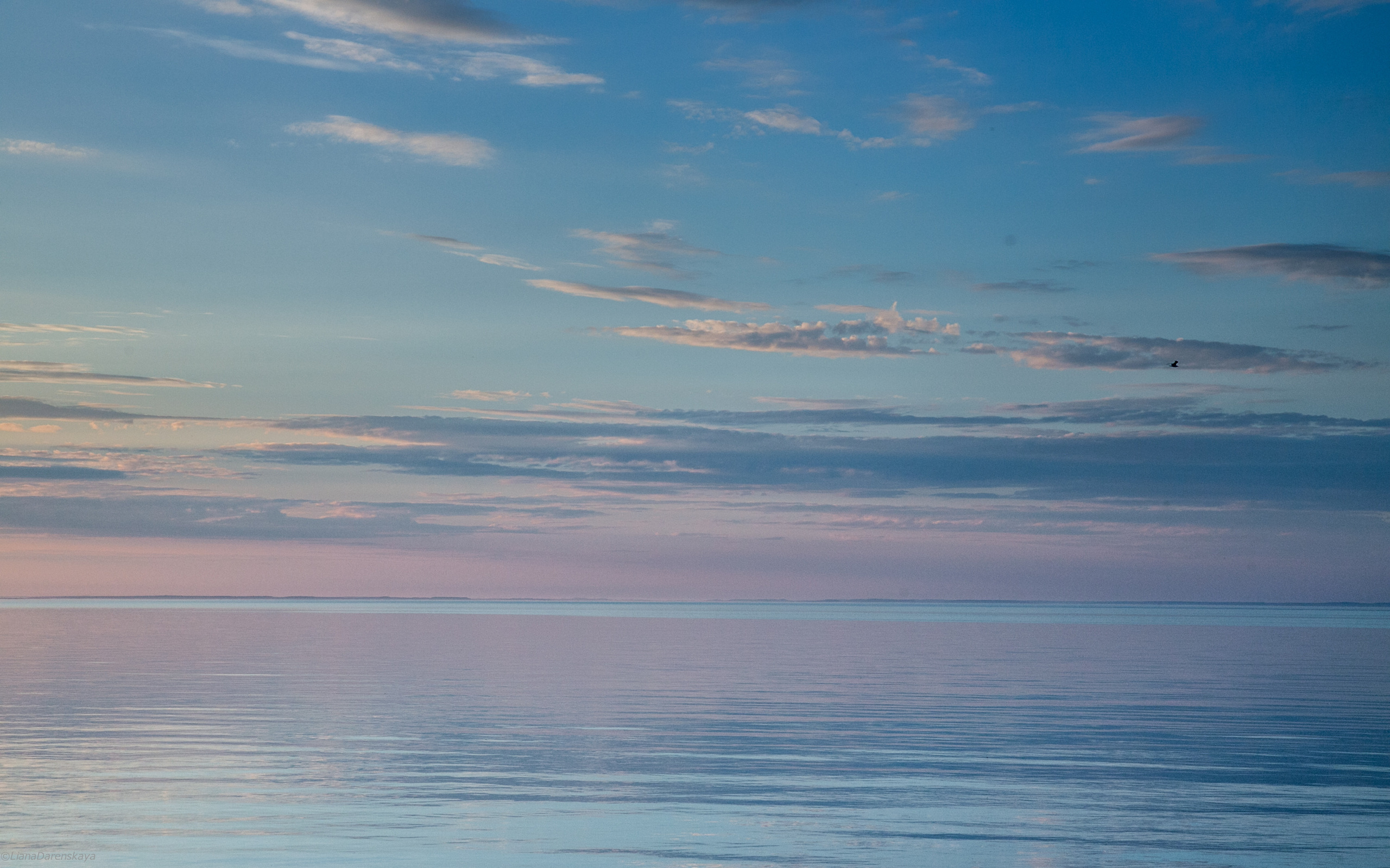 Остров Валаам. Визуальный художник Лиана Даренская, Москва