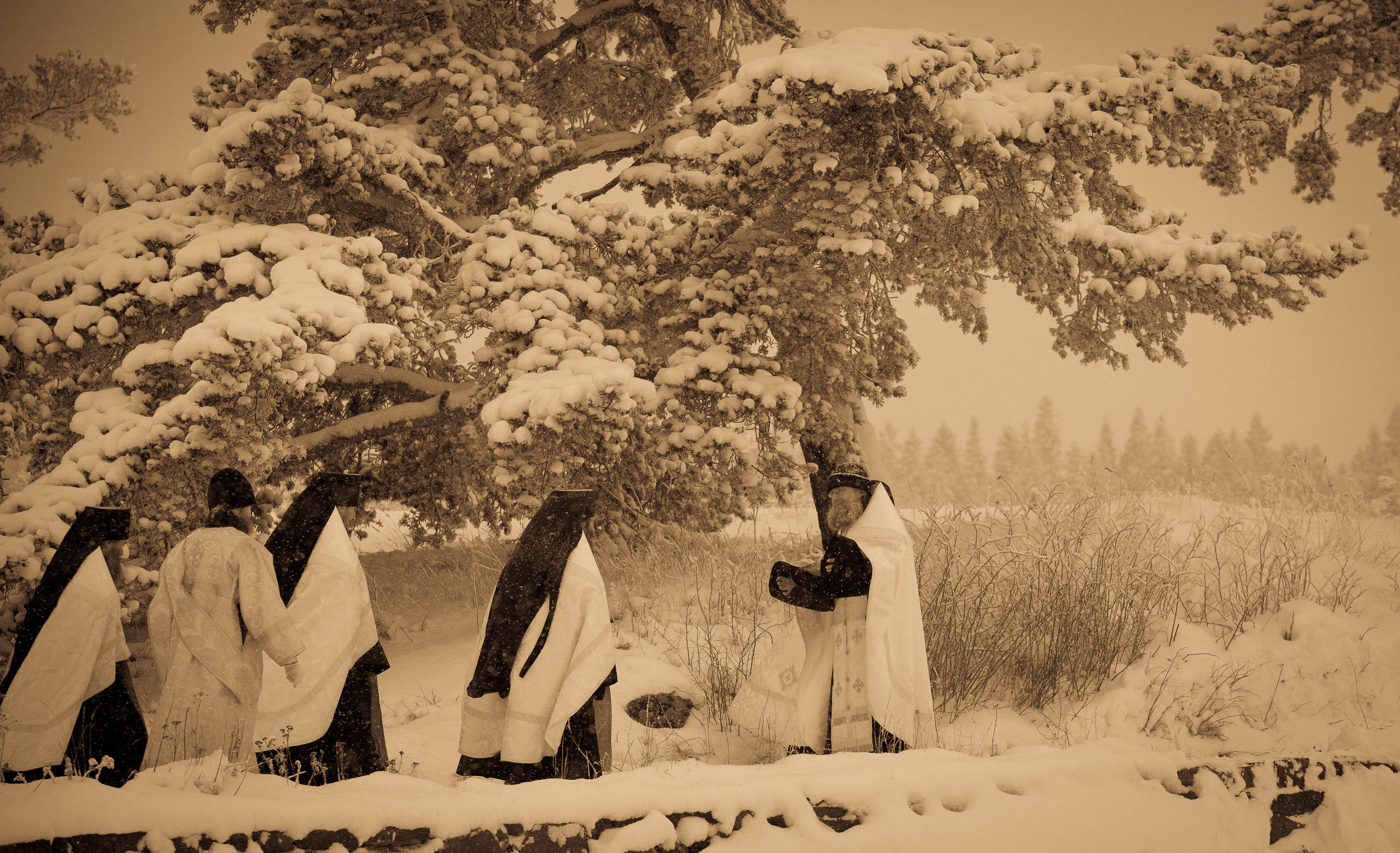 Остров Валаам. Визуальный художник Лиана Даренская, Москва