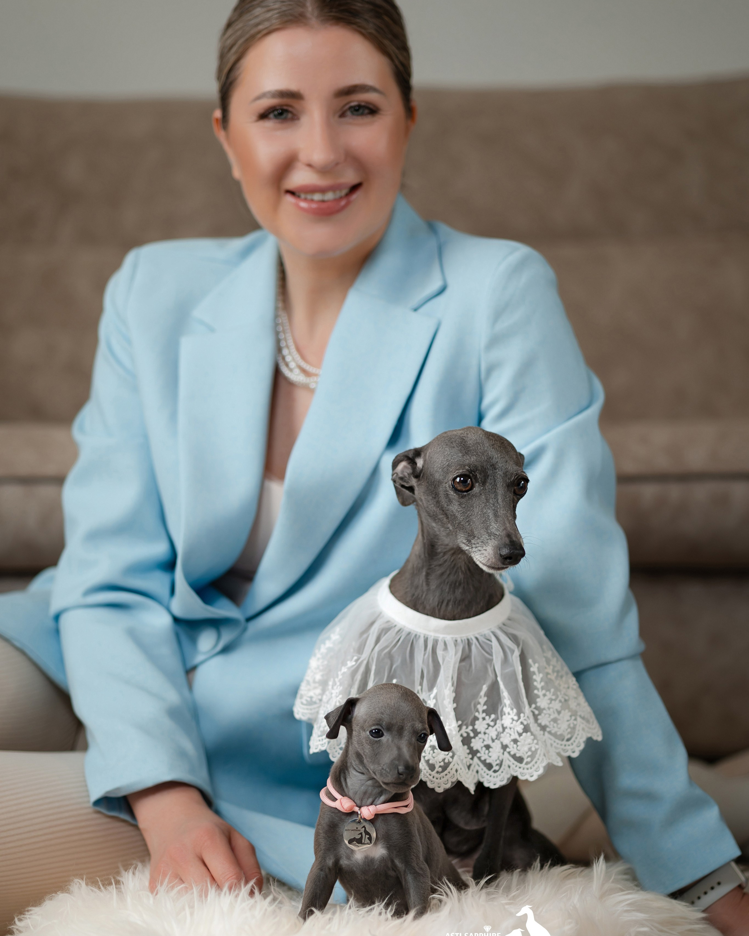 Отель. Professional Italian Greyhound Kennel RKF/FCI ASTI SAPPHIRE 💎 Sochi|St. Petersburg