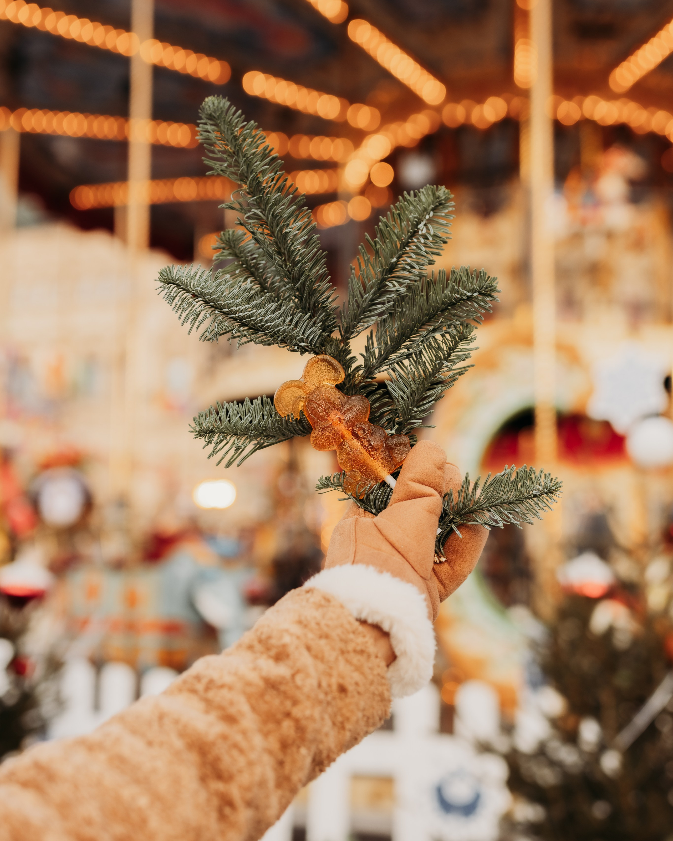 Услуги. Фотограф Москва