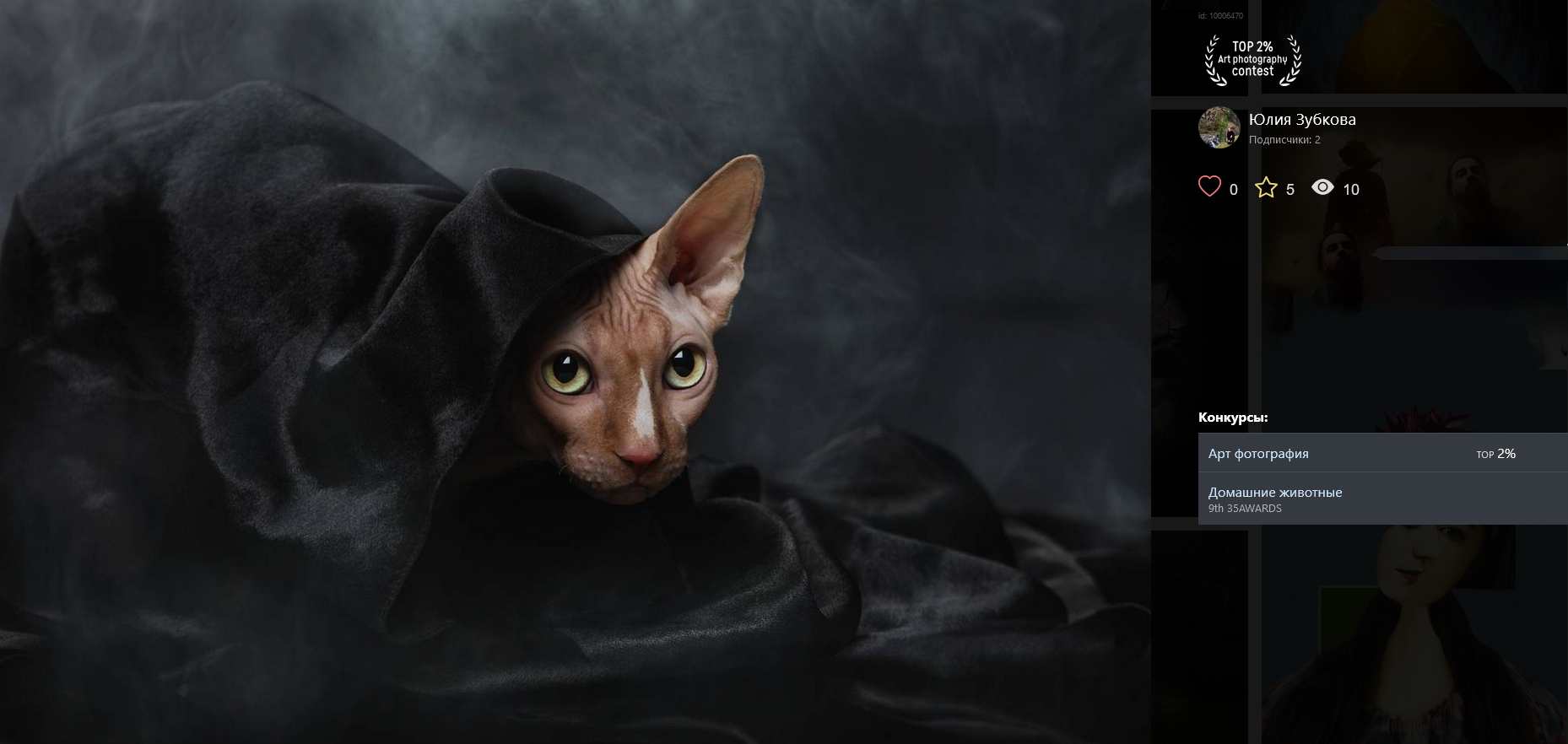 Мои достижения. Фотограф-анималист Юлия Зубкова