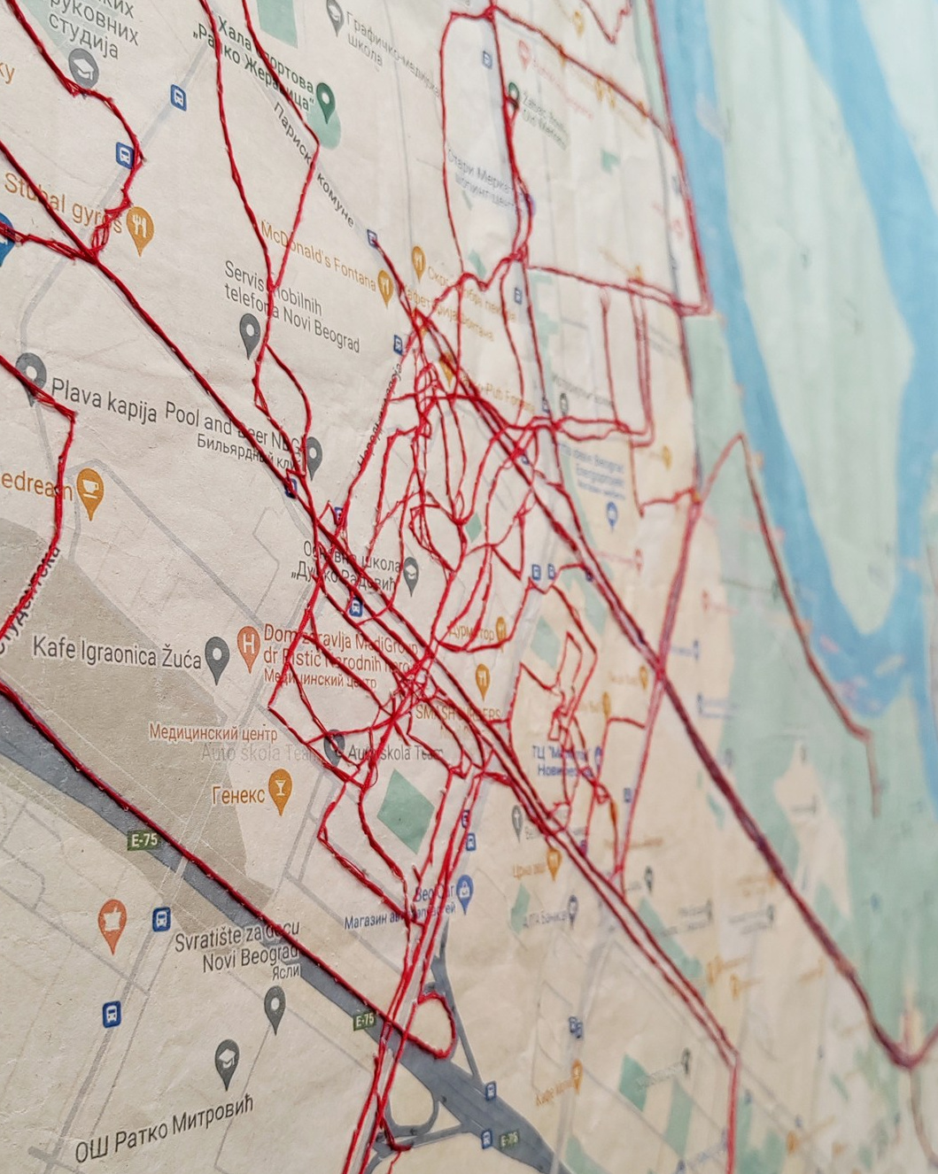 Collage. Alya Segova