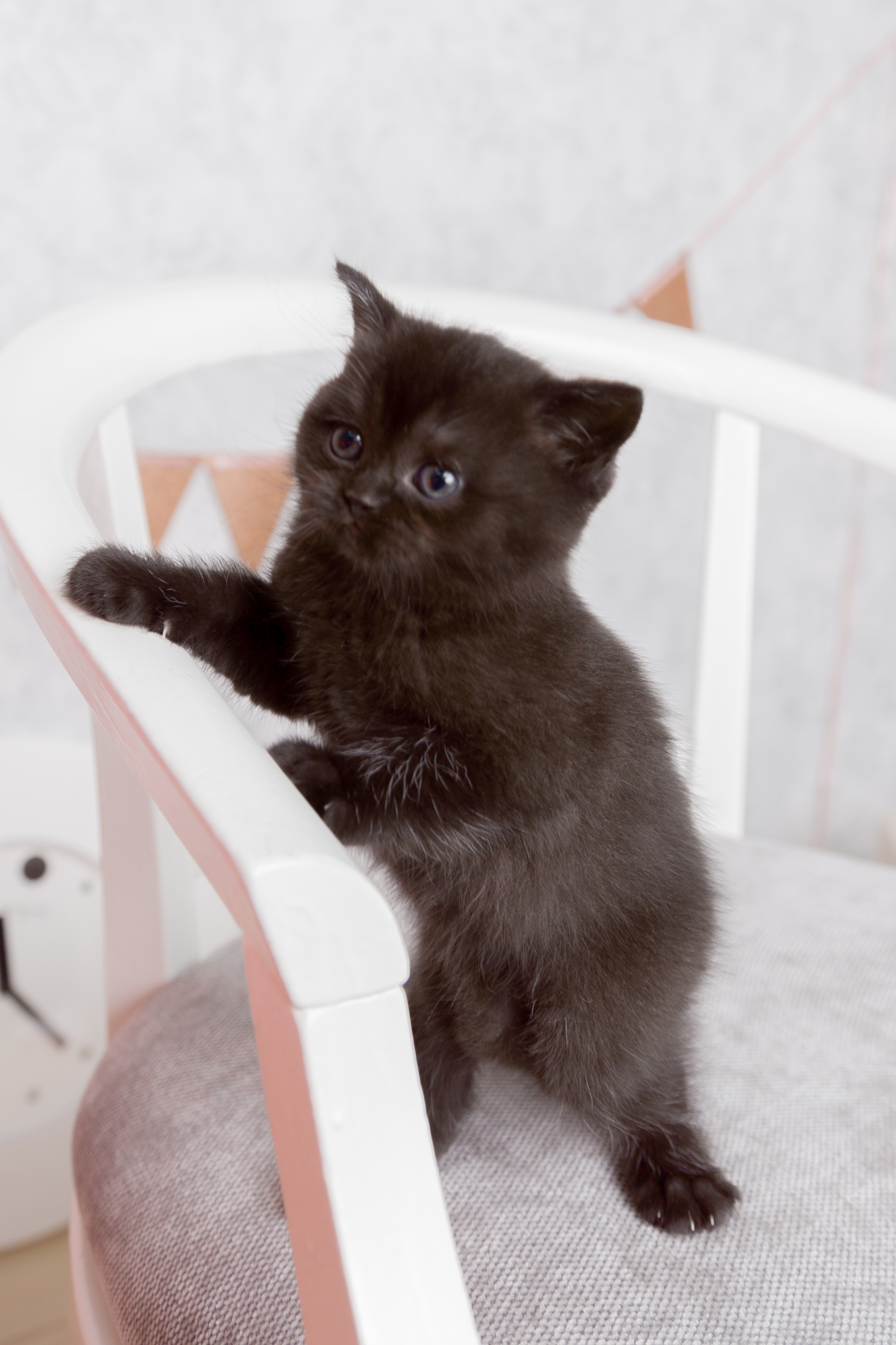 Фотограф Татьяна Воронова, Детские и Семейные фото