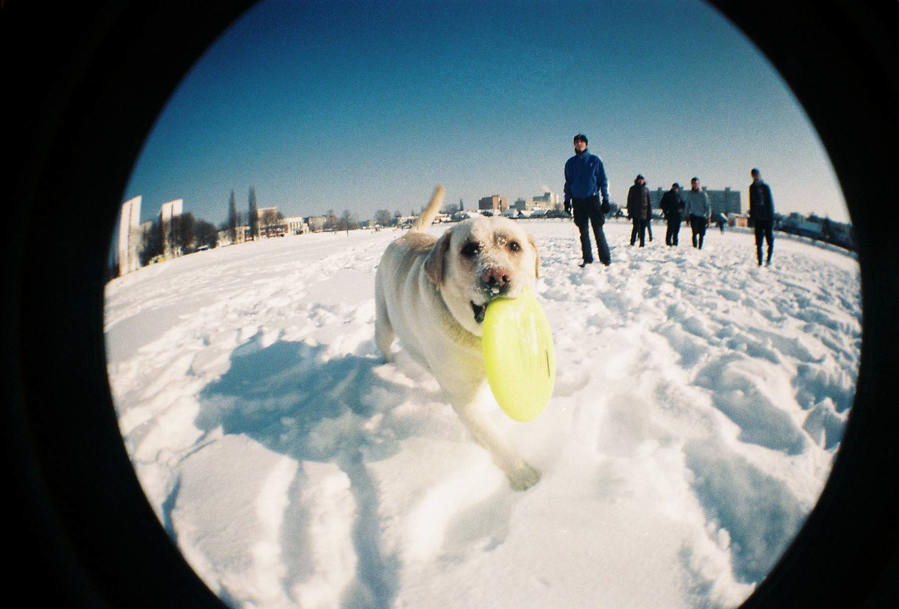 Для пленочной камеры типа «рыбий глаз» Lomography доступен новый цвет. Фотограф — видеограф в Москве Дмитрий Менделеев