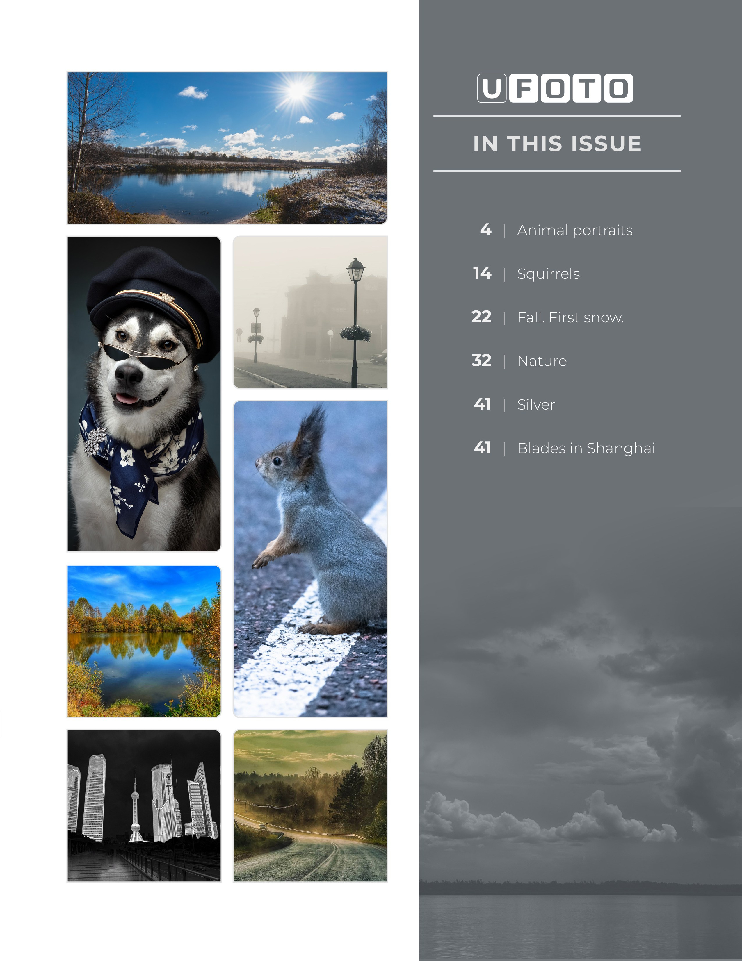 Публикации. Фотограф анималист в Санкт-Петербурге Светлана Писарева