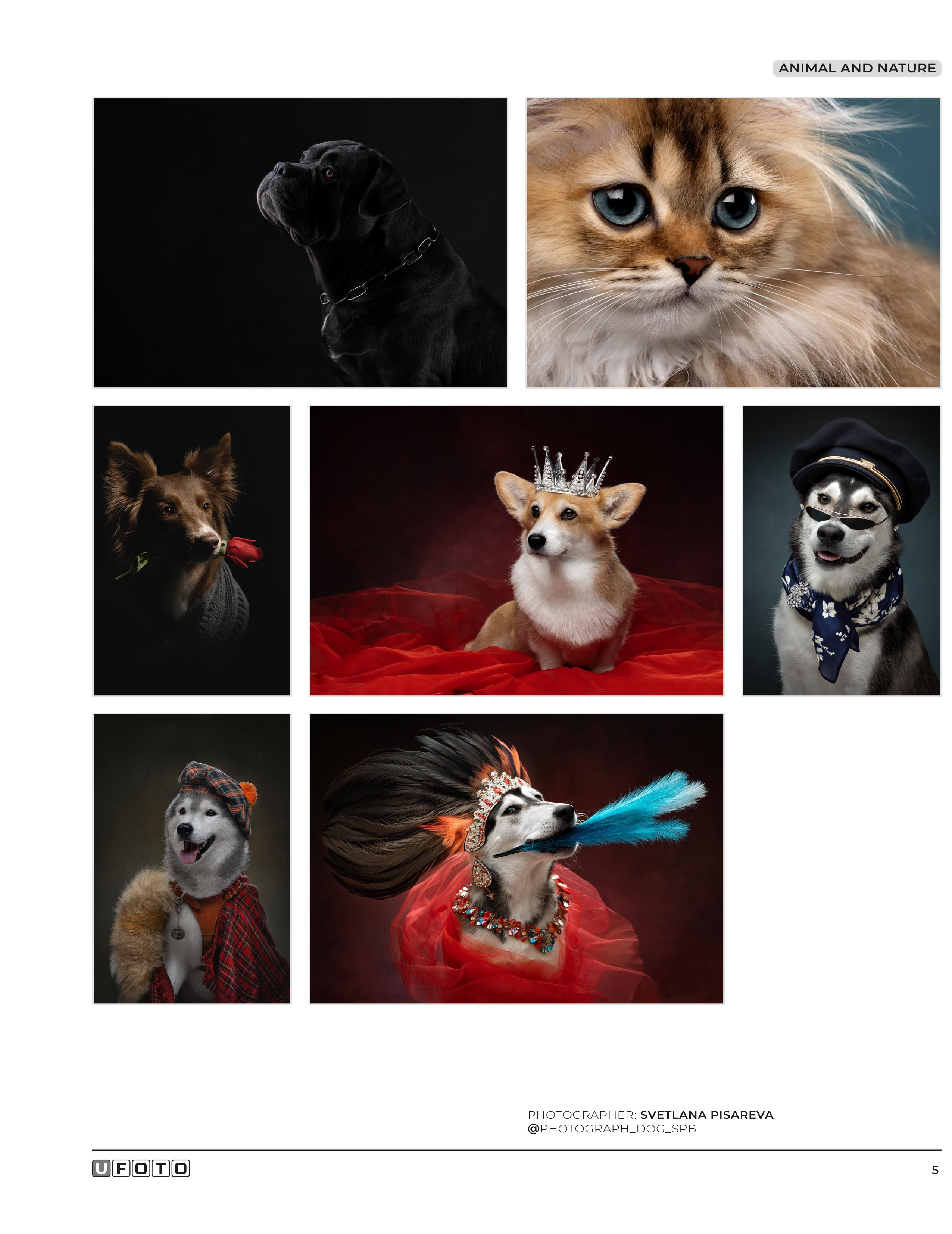 Публикации. Фотограф анималист в Санкт-Петербурге Светлана Писарева