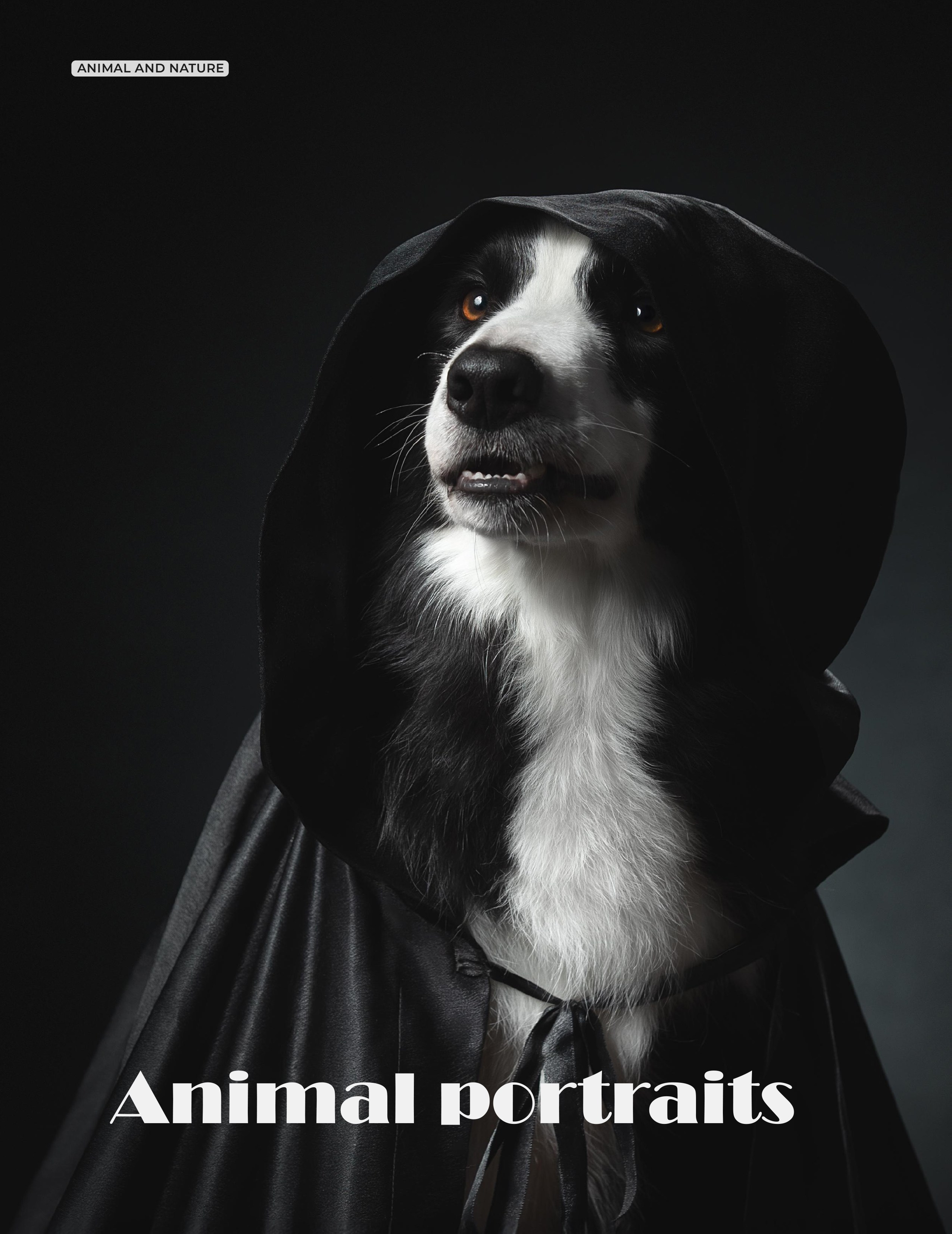 Публикации. Фотограф анималист в Санкт-Петербурге Светлана Писарева