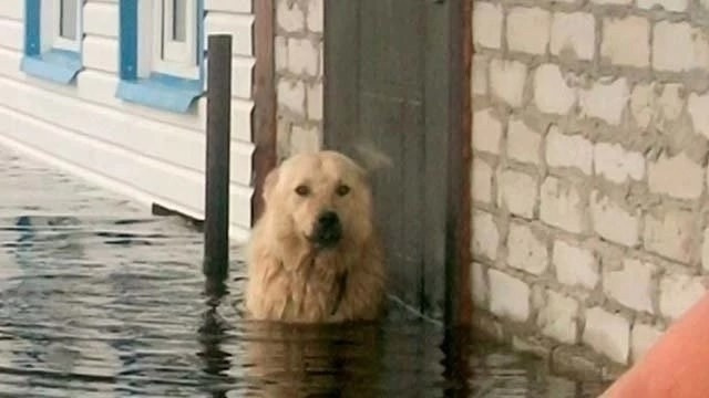 Читальный зал. Марина Рыбкина — Глубинная психология