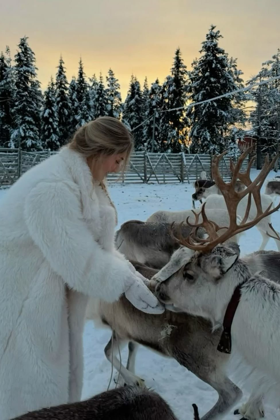 Карелия. YOUA TOURS