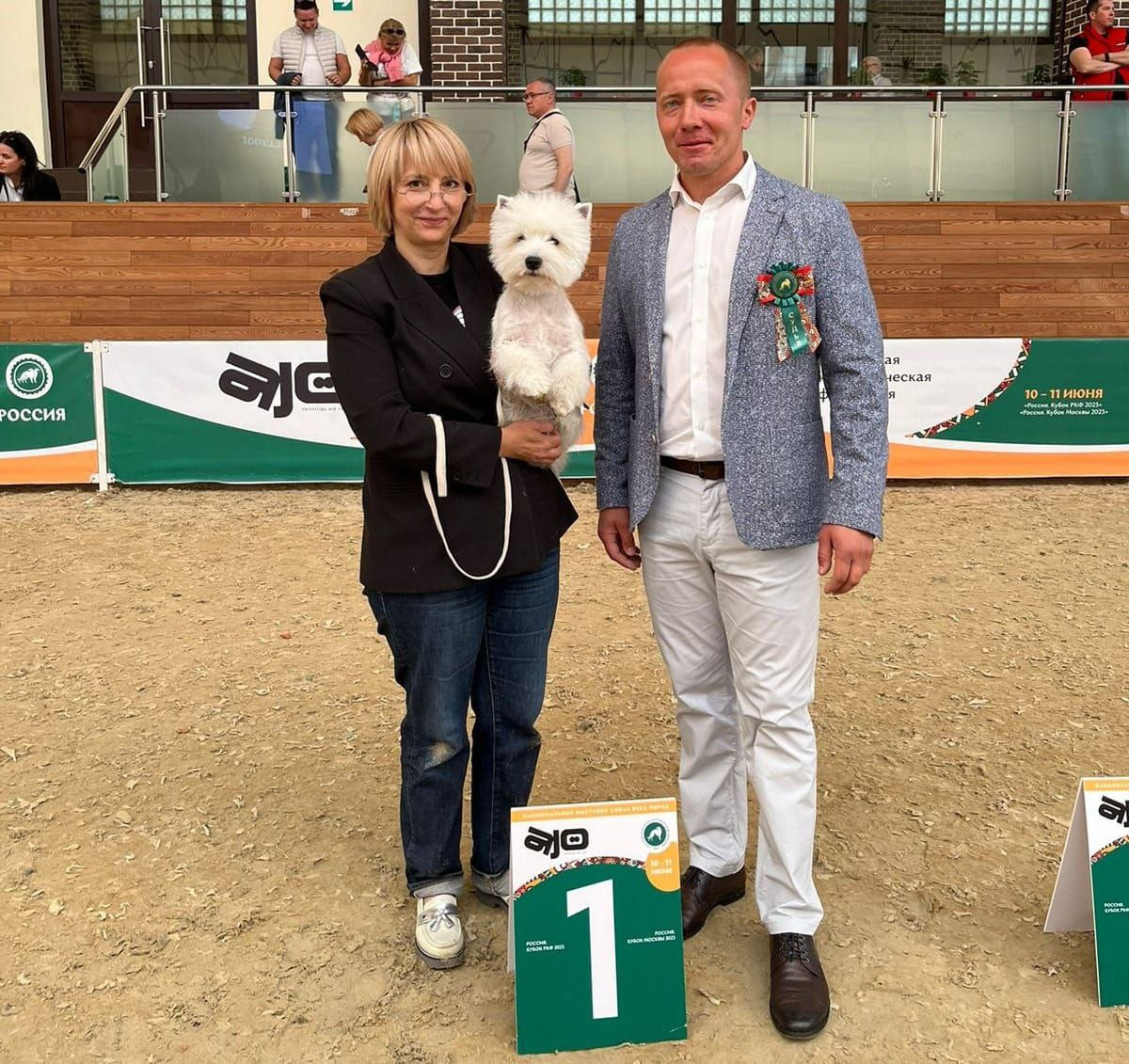 Новости питомника собак. Питомник собак породы вест хайленд вайт терьер в Москве