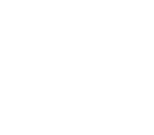 Проект «1st-Burger»