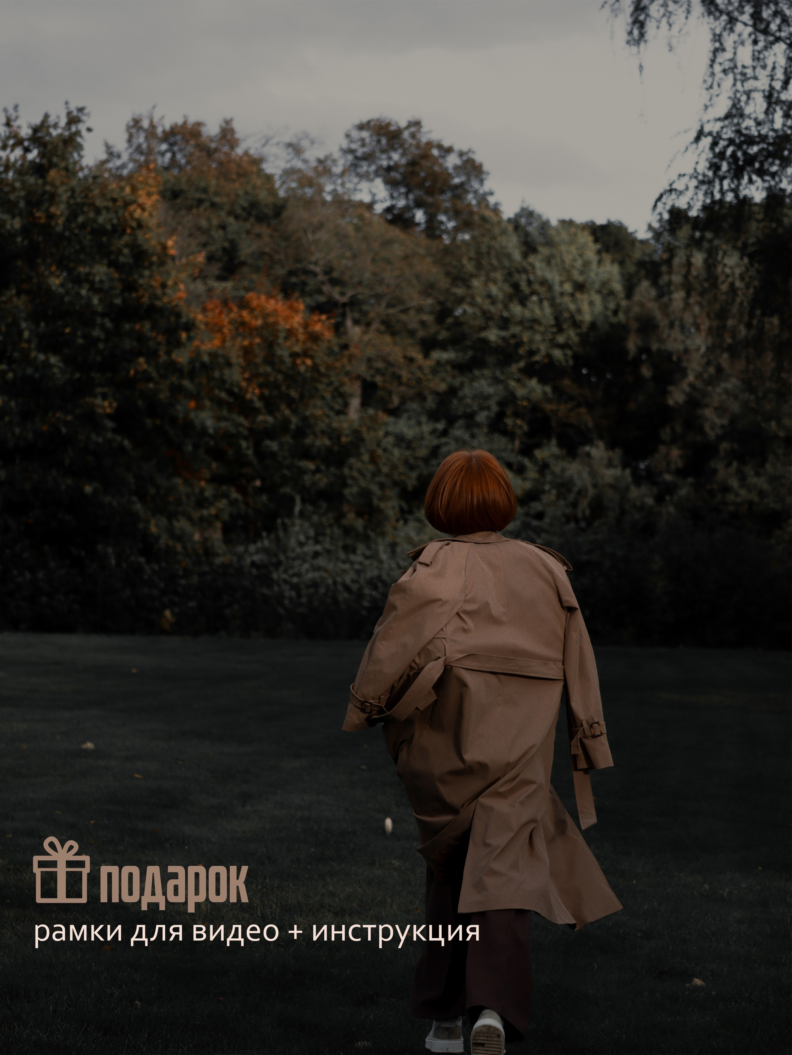 ВИДЕО ПРЕСЕТЫ VN. Cinematic presets video/photo, visual, content creator Lina Pleshakova