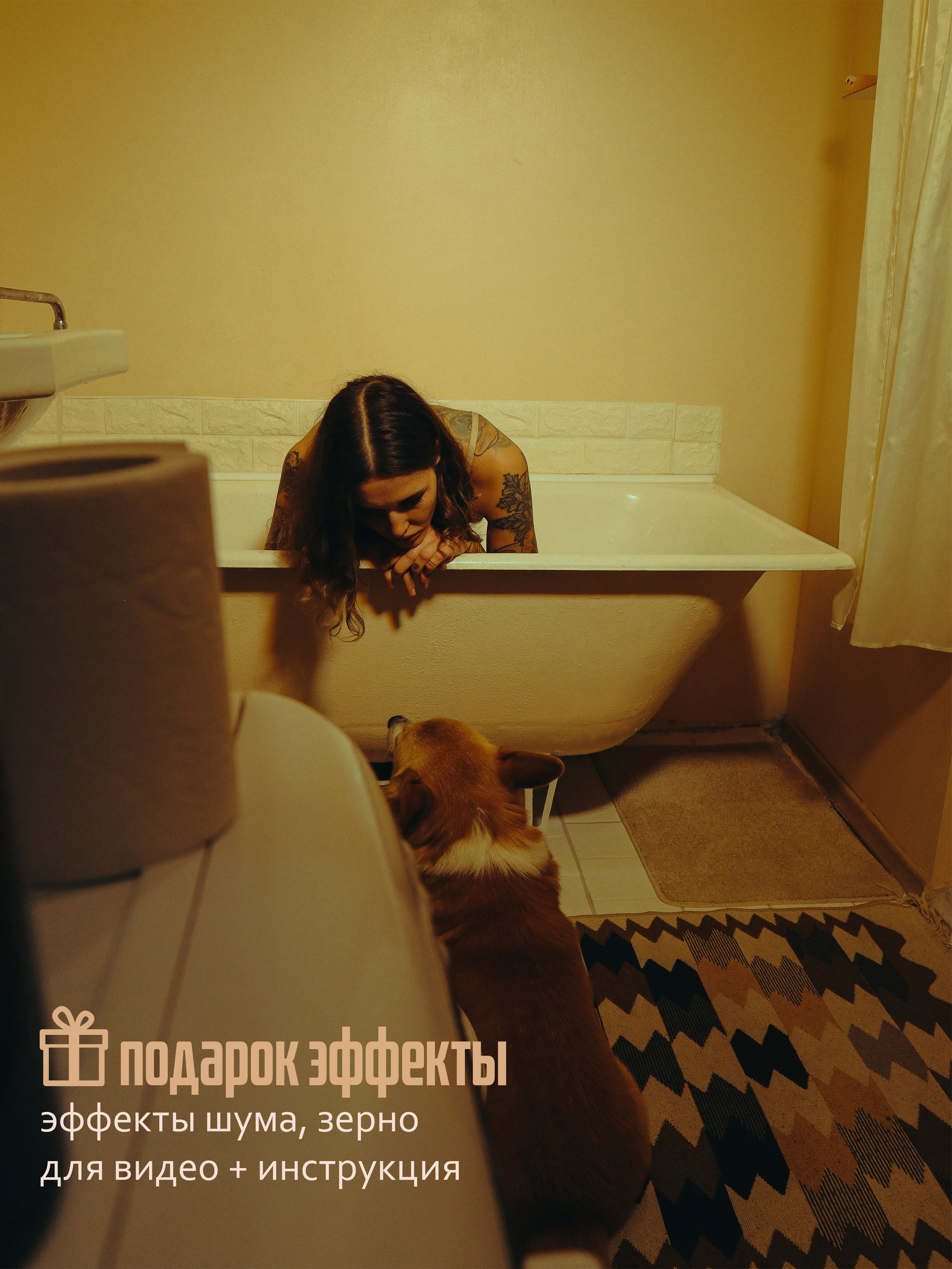 Пресеты ВИДЕО DAVINCI. Cinematic presets video/photo, visual, content creator Lina Pleshakova