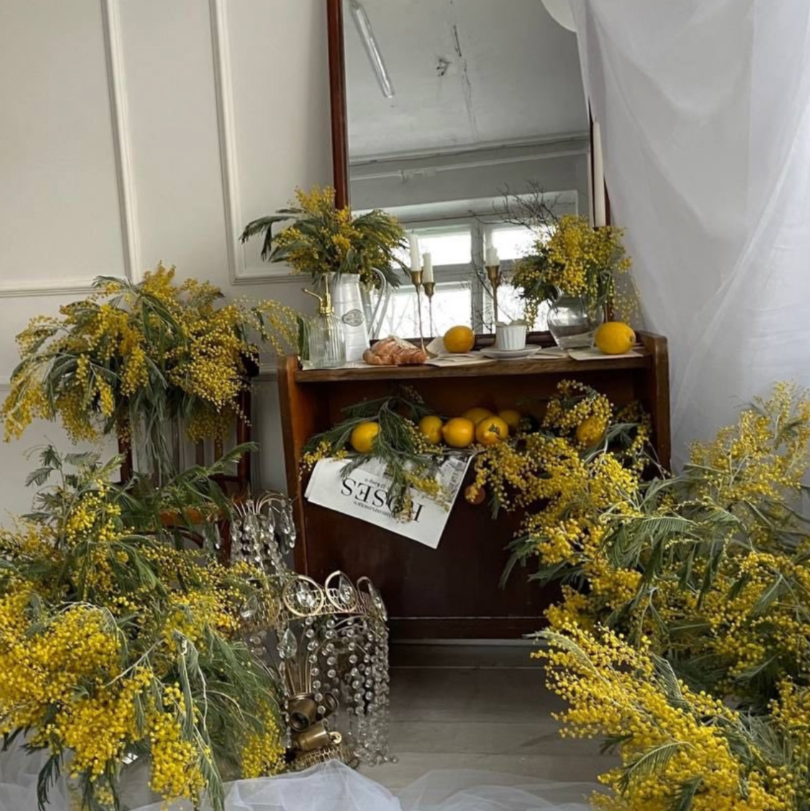 Фотостудии. Семейный фотограф новорожденных УФА Гульнара Зиновьева