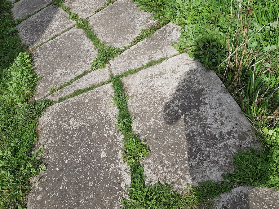 Как связаны пейзажная фотография и продажа недвижимости?. НЕЙРО-АРТы Воеводова