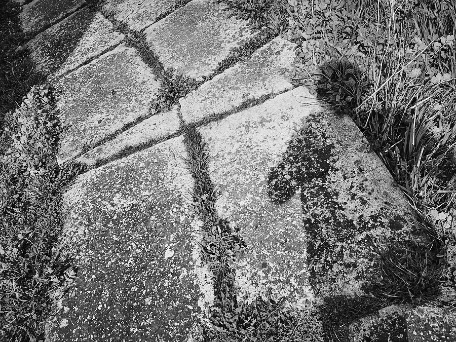 Как связаны пейзажная фотография и продажа недвижимости?. НЕЙРО-АРТы Воеводова