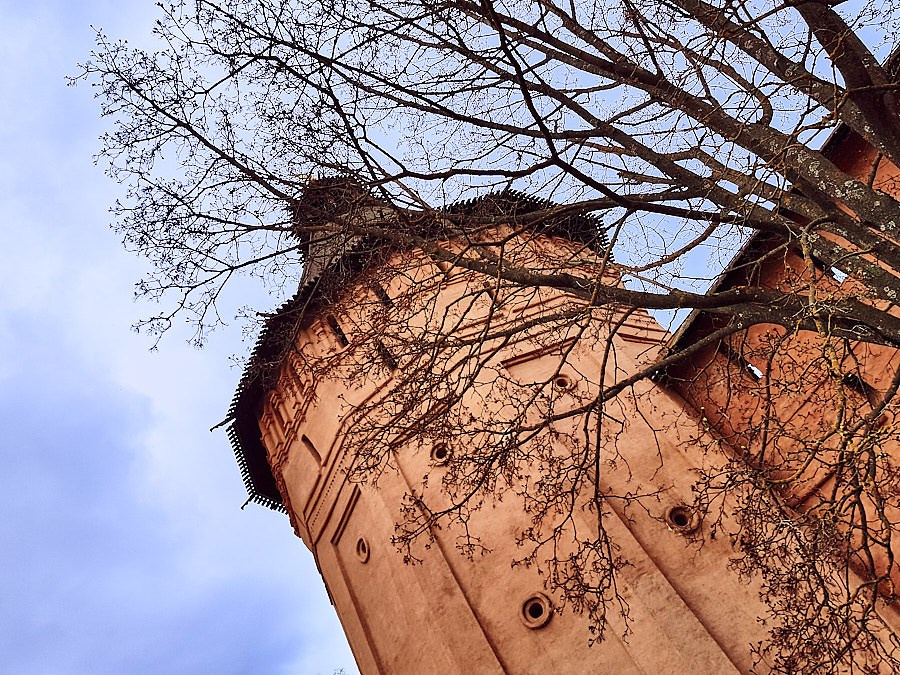 Объектив как кисть художника. НЕЙРО-АРТы Воеводова