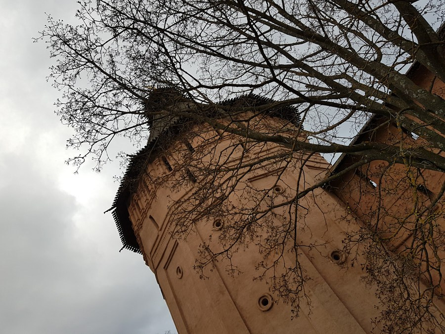 Объектив как кисть художника. НЕЙРО-АРТы Воеводова