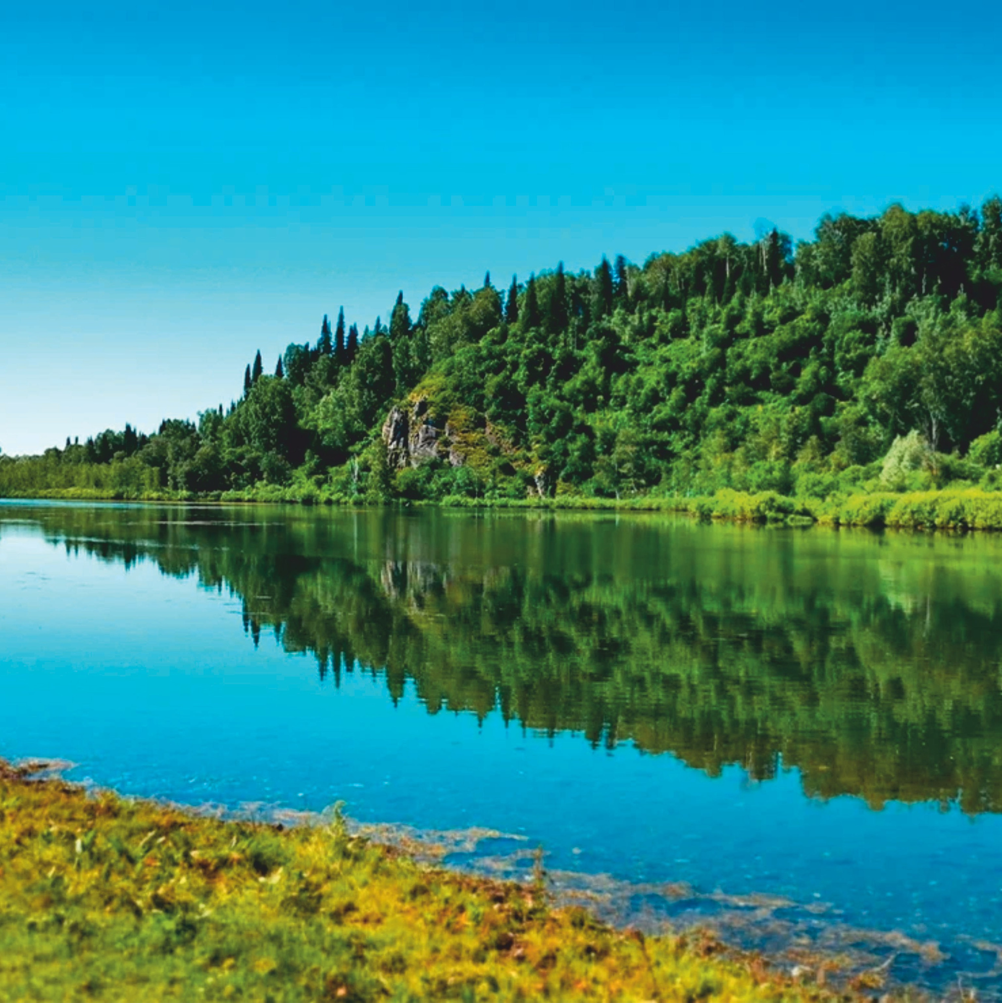 Озеро Куреево. Банк земельных участков Алтая
