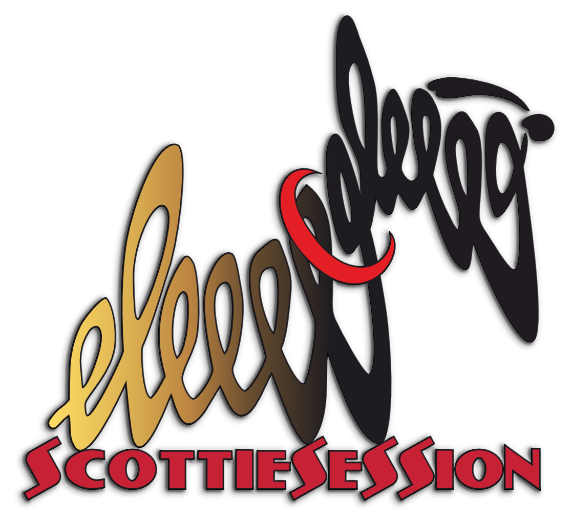 скоттисейшн - кинологический фестиваль породы шотландский терьер